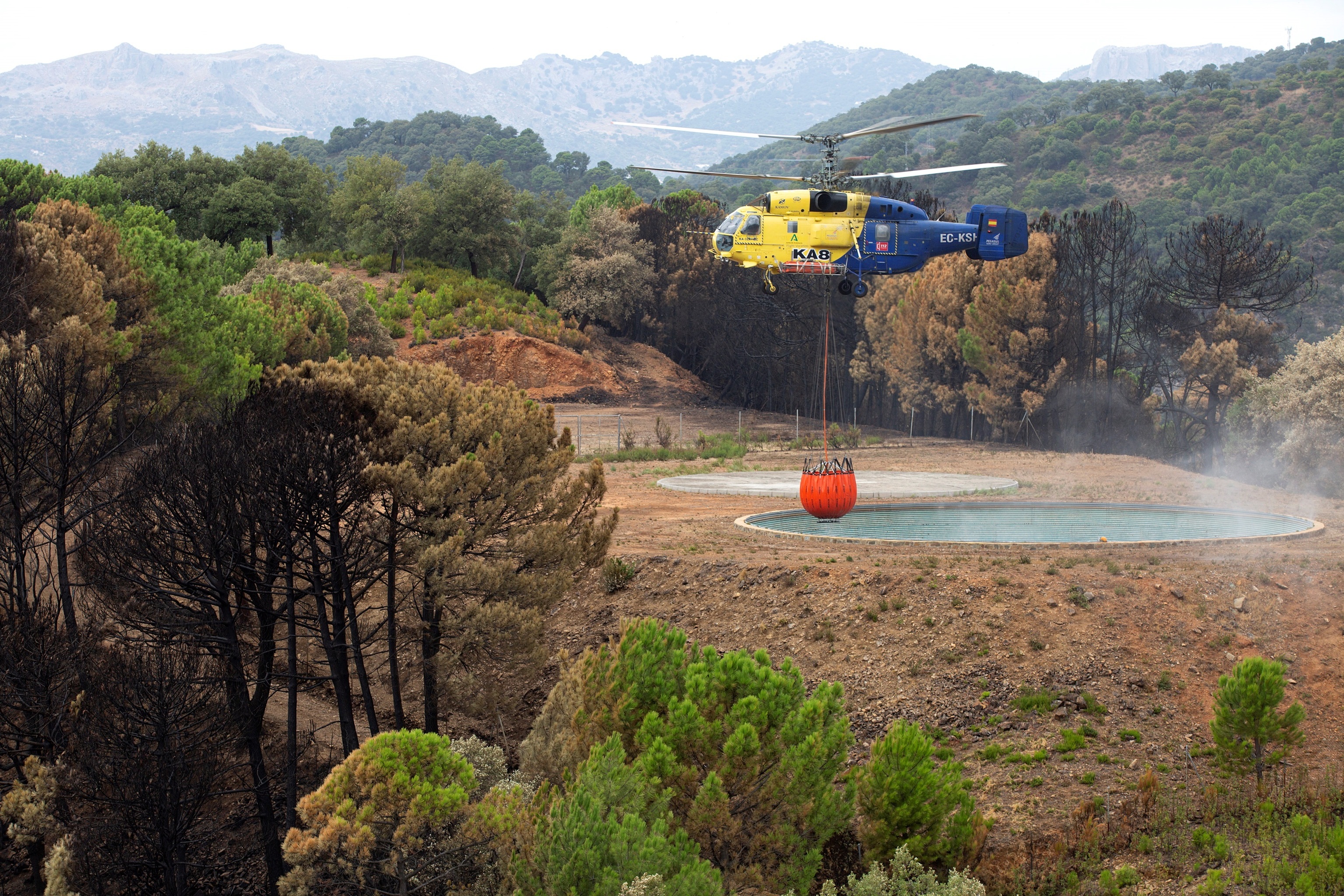 Efectivos trabajando en el incendio de Sierra Bermeja.
