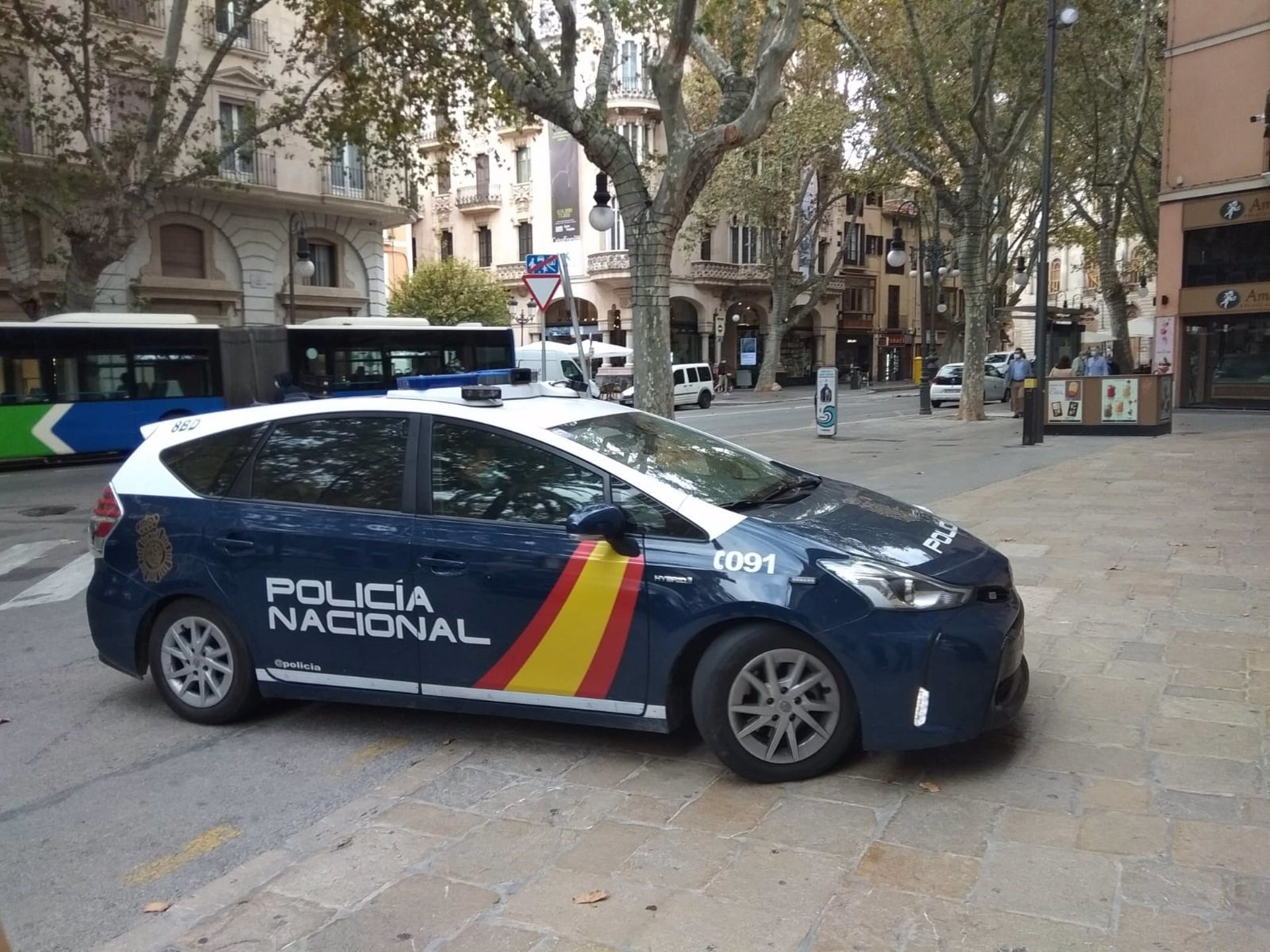 Un coche de la Polica Nacional llegando a los Juzgados en Palma.