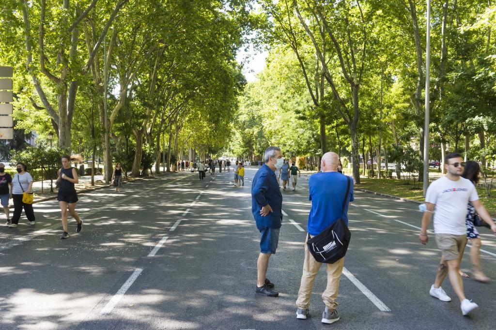 El Paseo del Prado sin coches, el pasado mes de julio.
