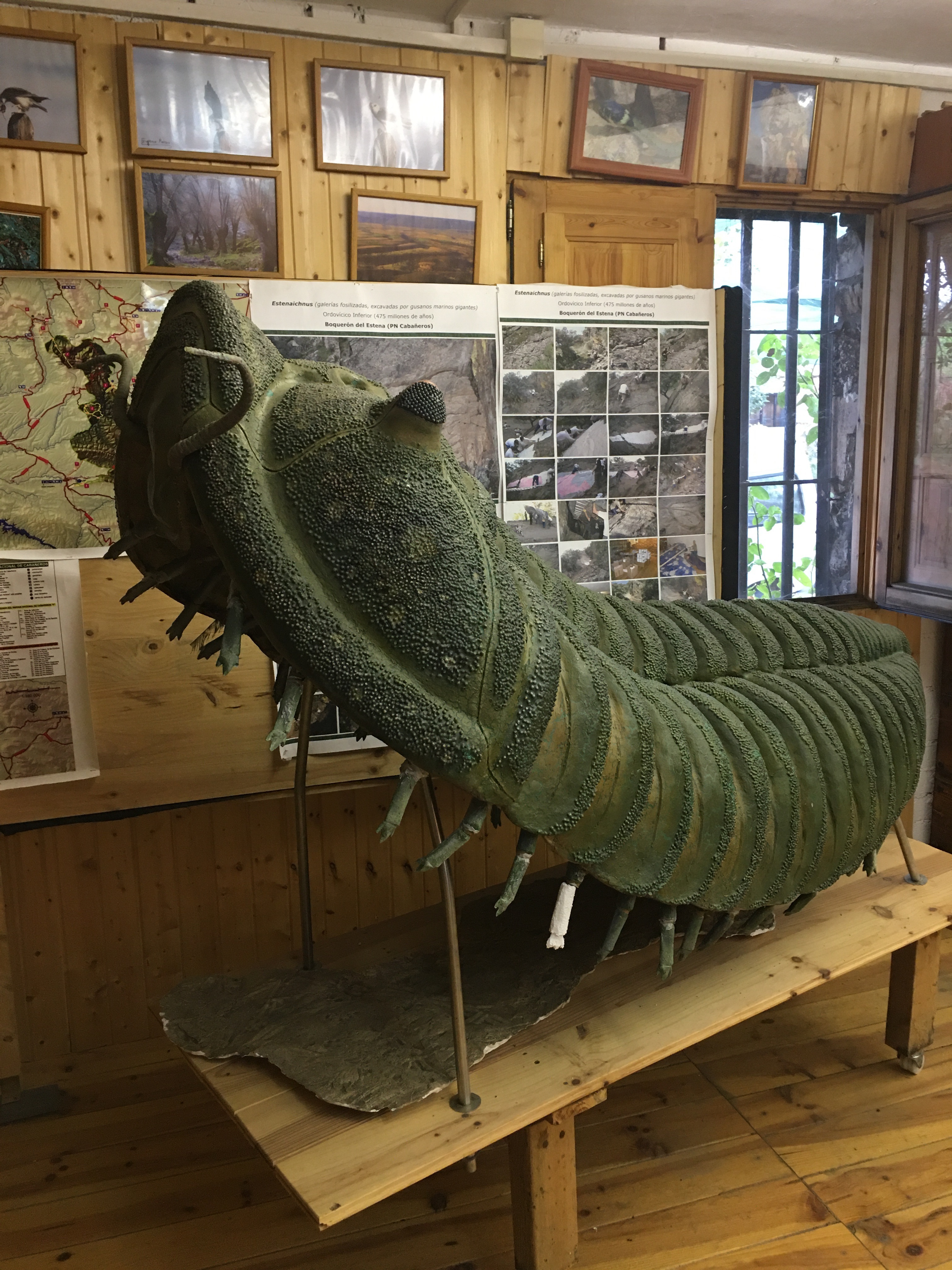 Réplica gigante de un trilobite en el museo de la Casa Rural Boquerón de Estena.