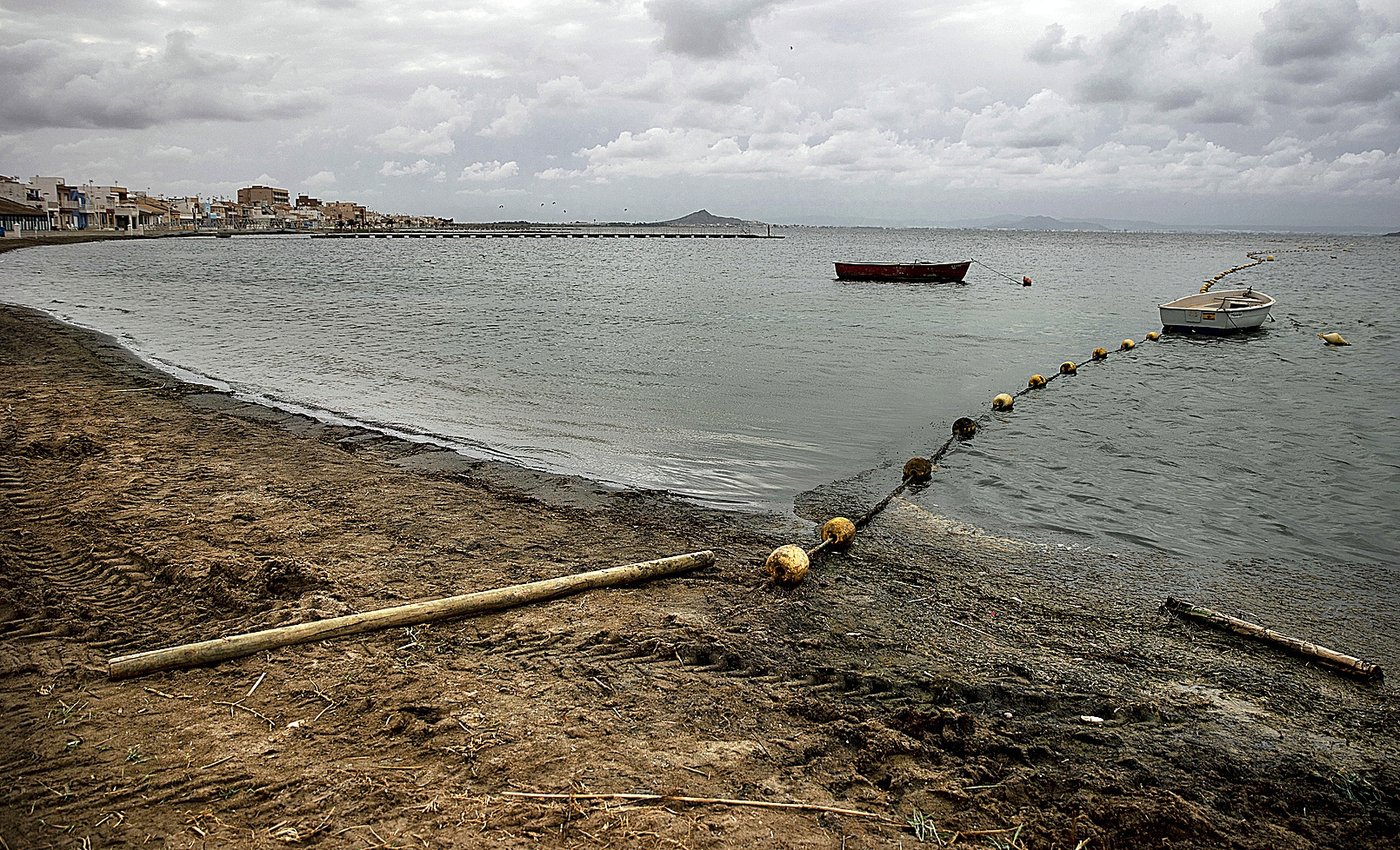 Algas acumuladas en la Manga del Mar Menor a finales de agosto.