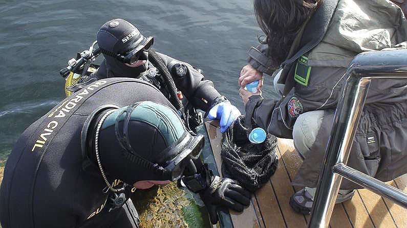 Buceadores de la Guardia Civil extraen muestras de contaminacin en el lago de Sanabria, Zamora.