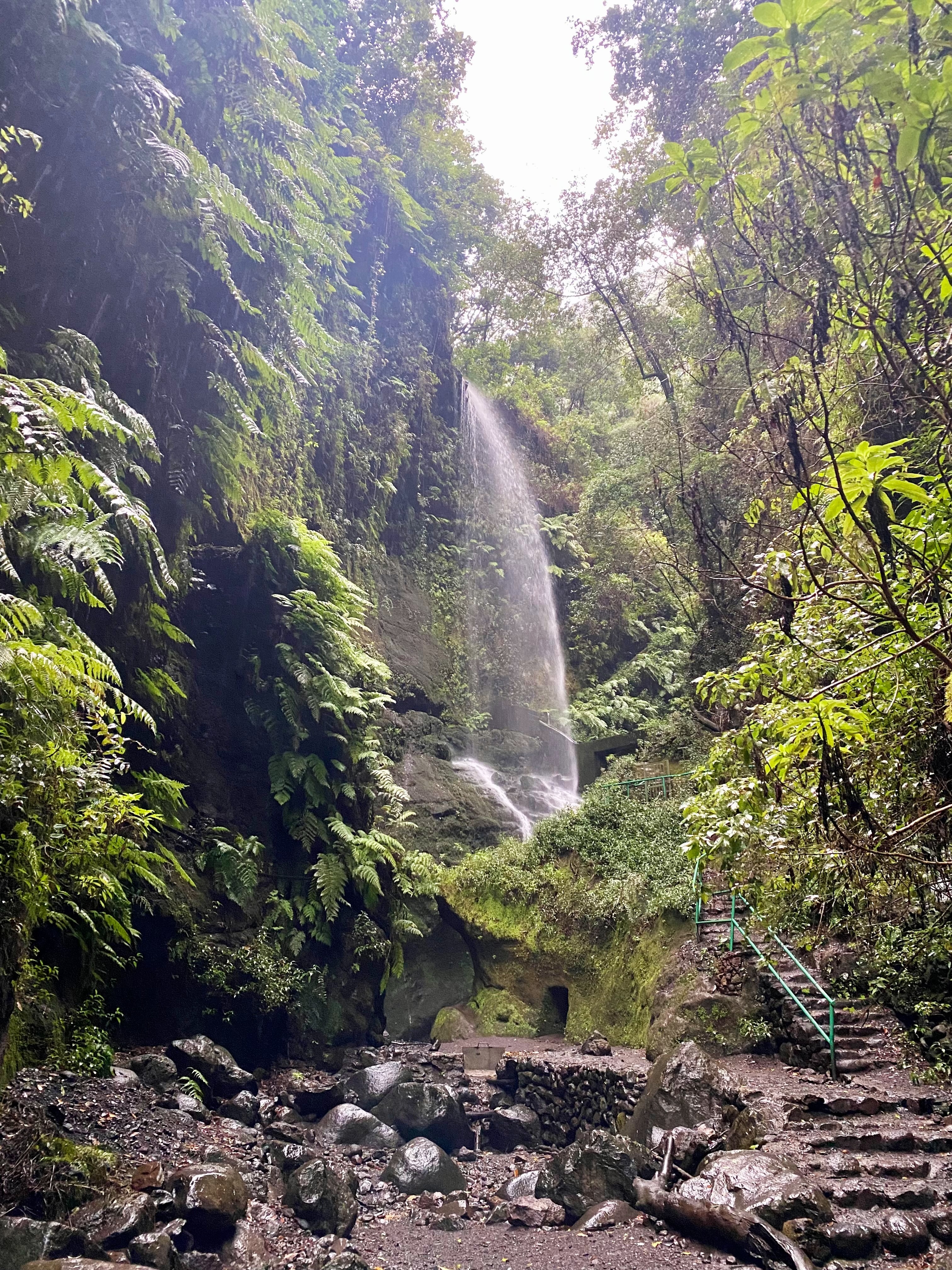 La cascada del Bosque de los Tilos, en La Palma.