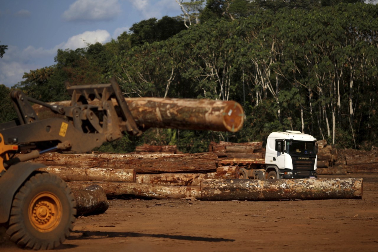 Un tractor transporta madera en el Parque Jamari, en Itapua do Oeste, en la Amazonia