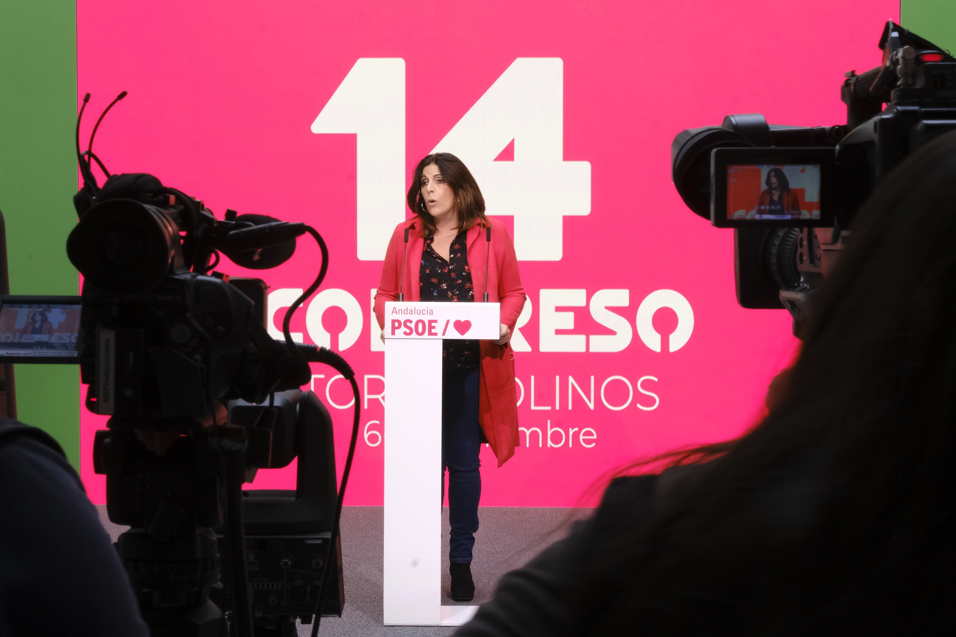La portavoz parlamentaria del PSOE andaluz, ngeles Frriz, en la sede del partido.
