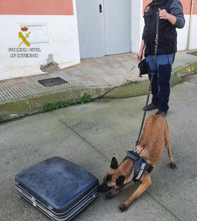 Un momento del entrenamiento del perro polica para la deteccin de drogas.