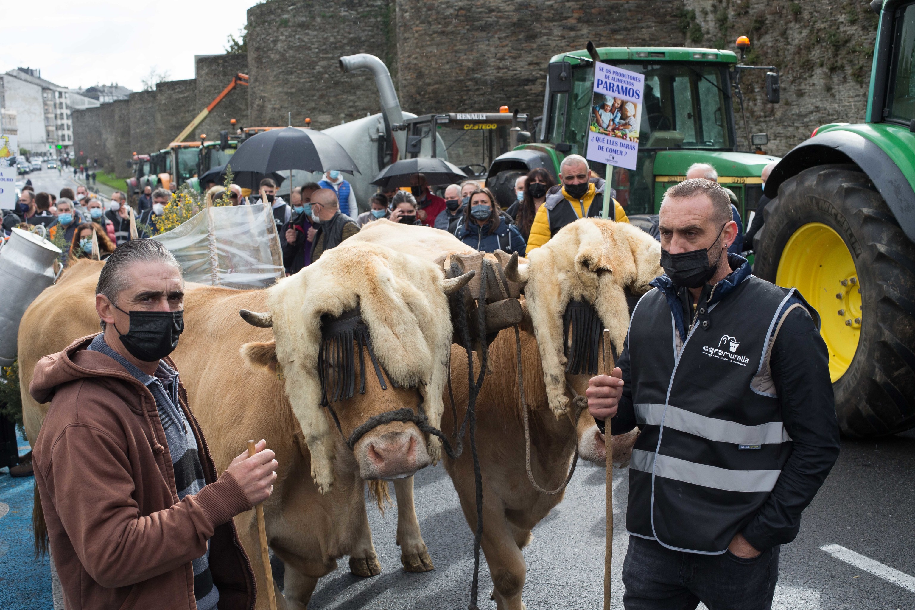 Una tractorada en Lugo para protestar por el bajo precio de la leche.