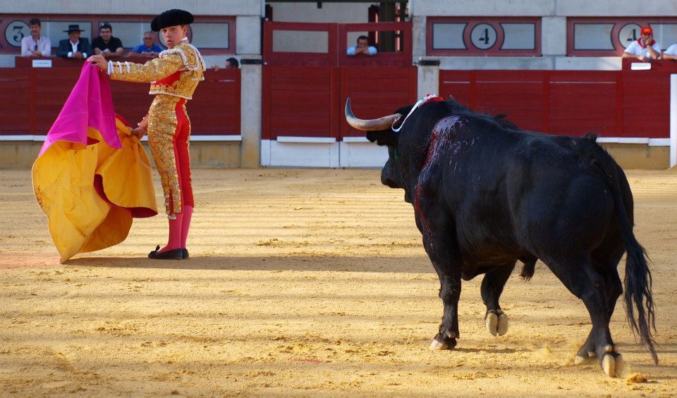 El torero Javier Corts en la plaza de toros de Getafe