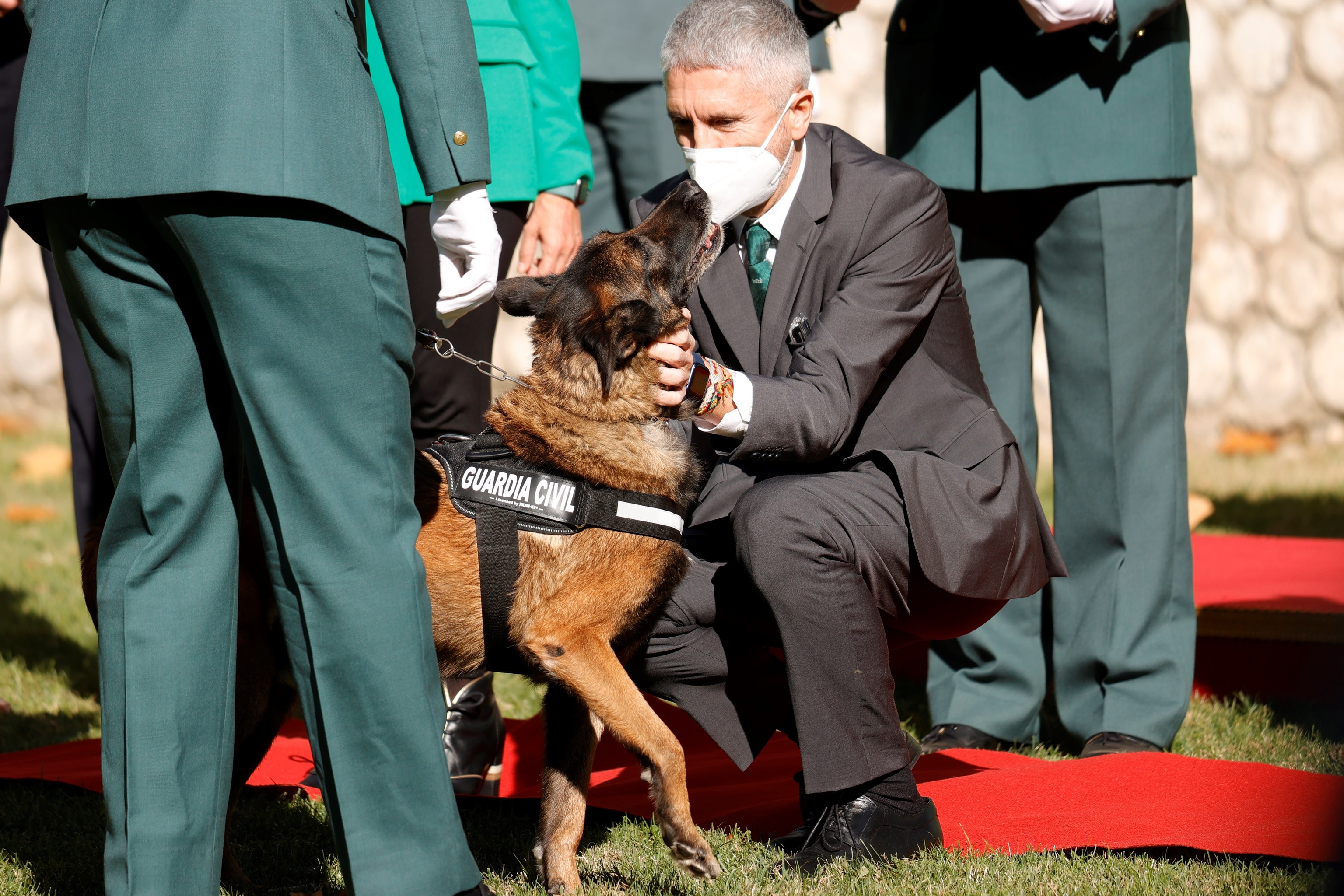 Fernando Grande-Marlaska en la entrega de una mencin de honor al mrito canino de la Guardia Civil.