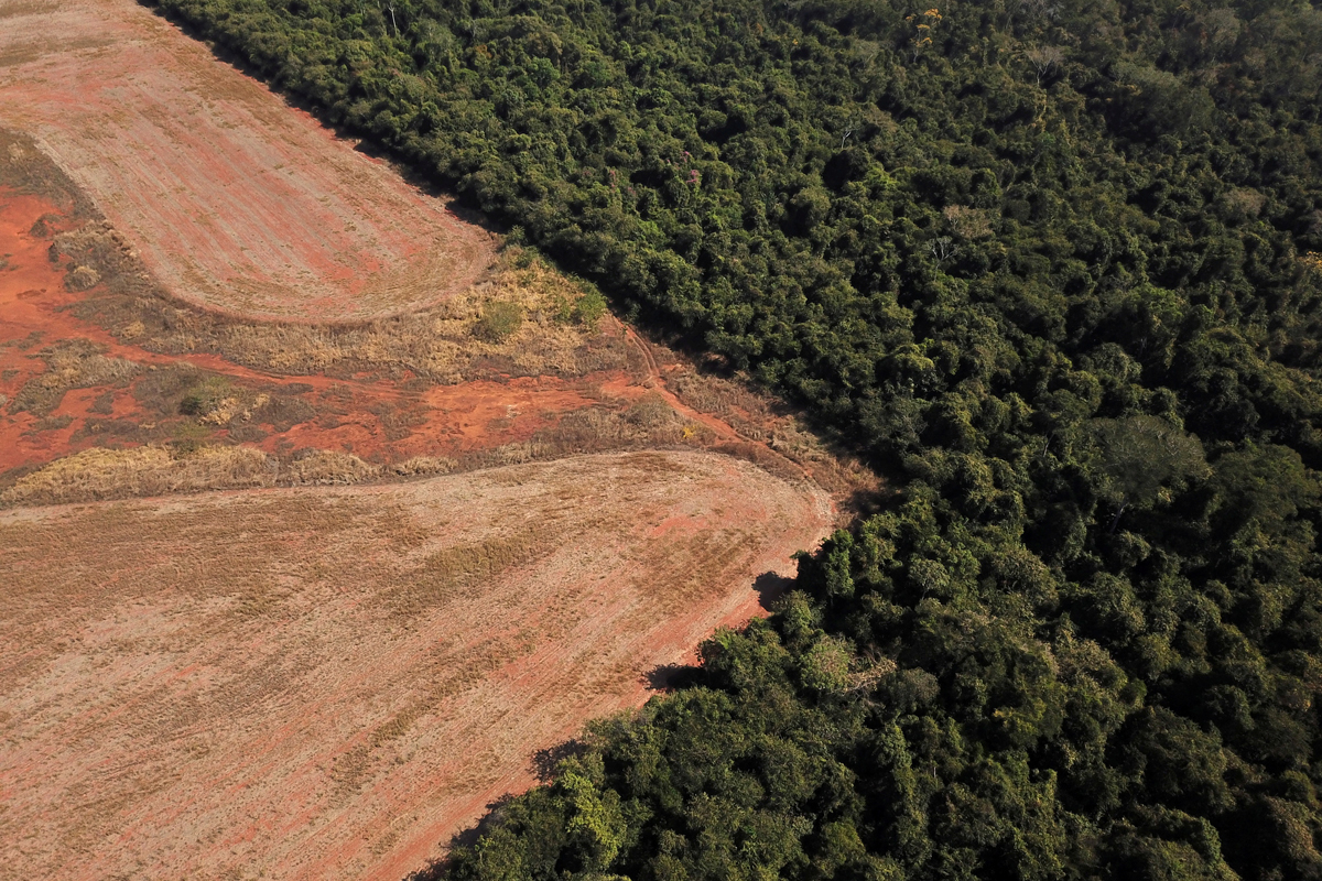 Imagen area de una zona deforestada de la Amazonia.