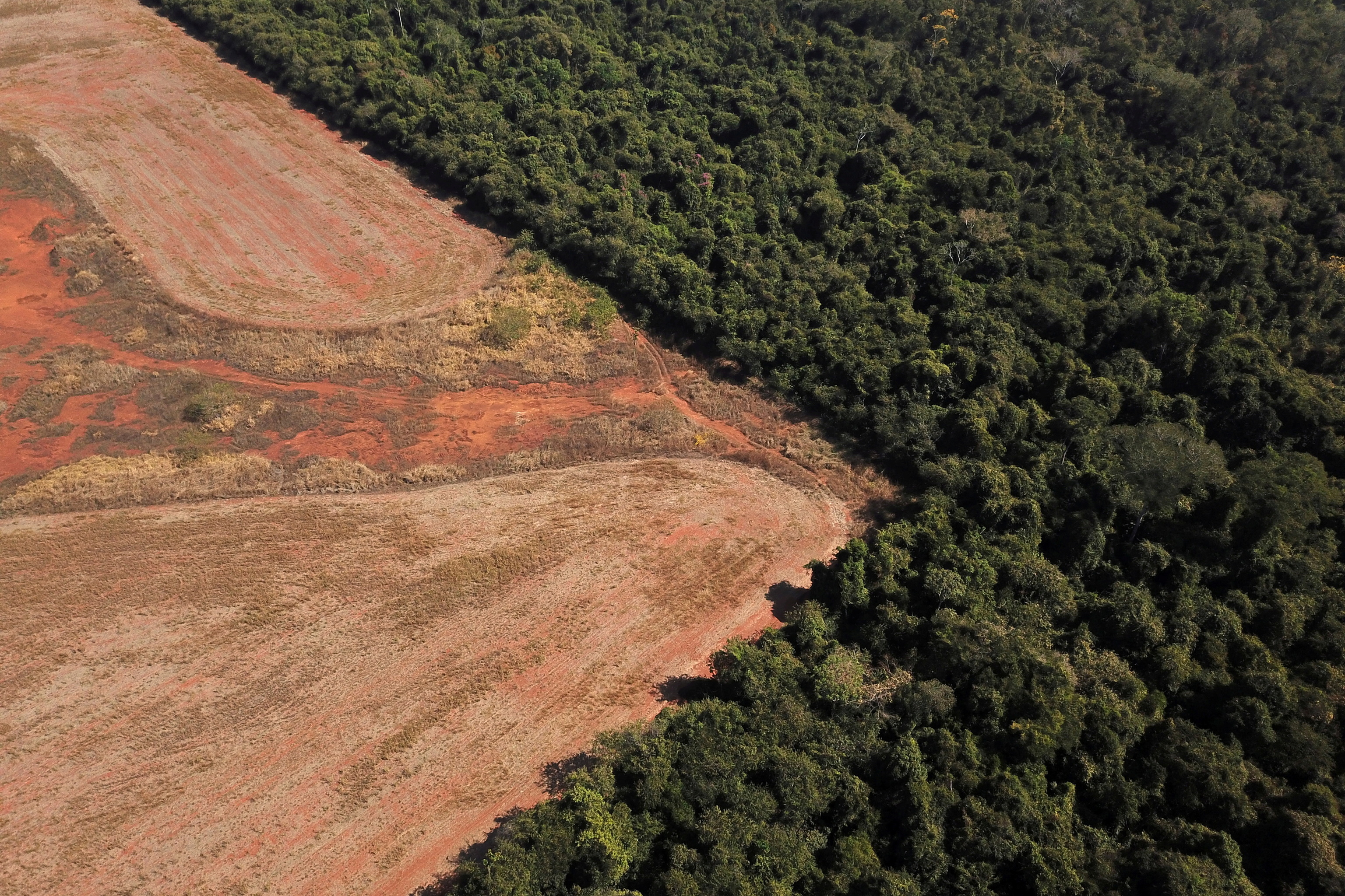Brasil destruye 13.000 kil