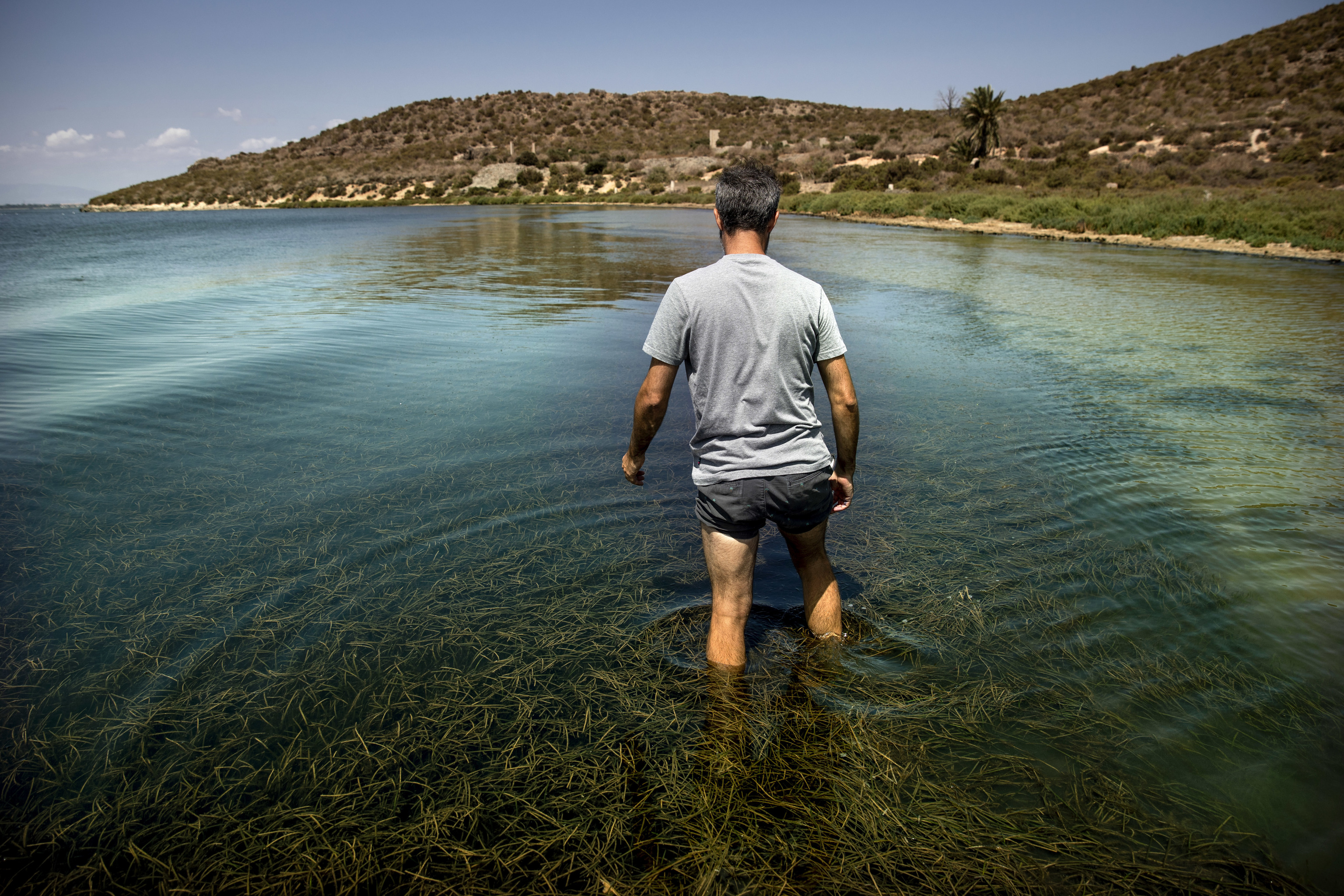 Mar de algas en la isla de Perdiguera, en el Mar menor, en Murcia.