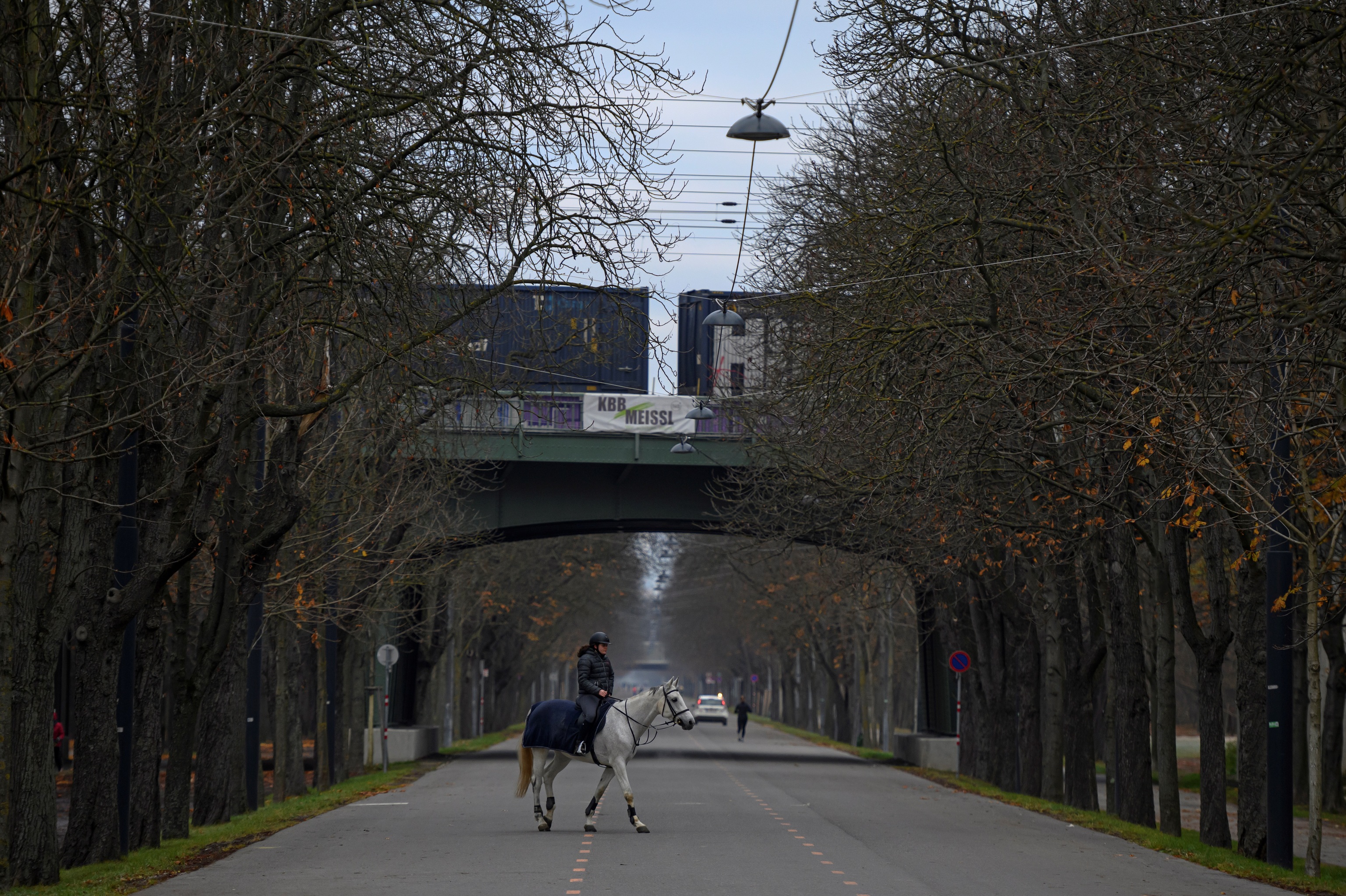 Un jinete atraviesa una carretera a caballo durante el confinamiento en Austria.