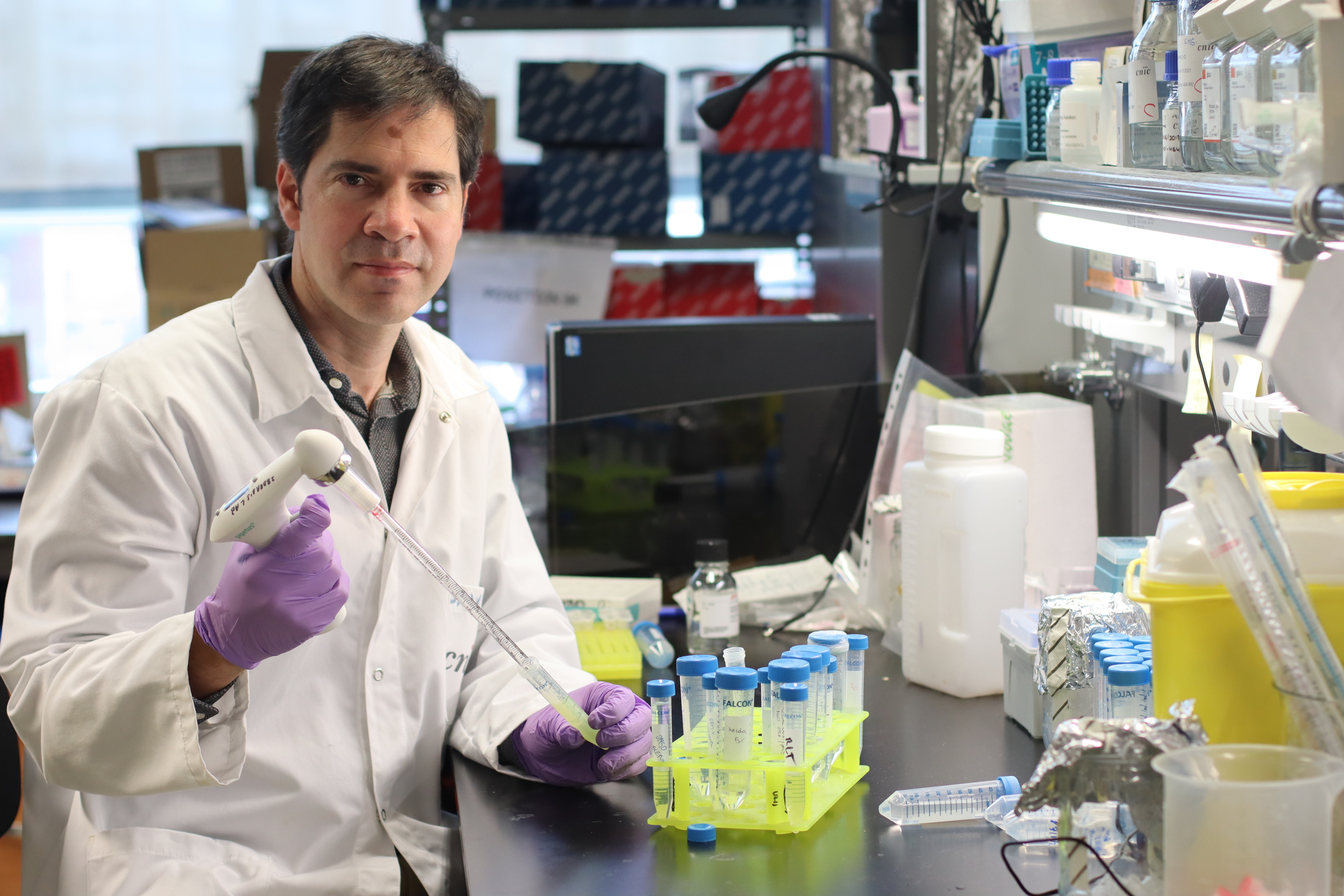 El director del laboratorio de Inmunobiología del CNIC, David Sancho.