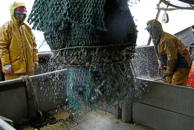 España asume un recorte del 8% en la pesca de merluza y una reducción del 6% en los días de pesca de arrastre