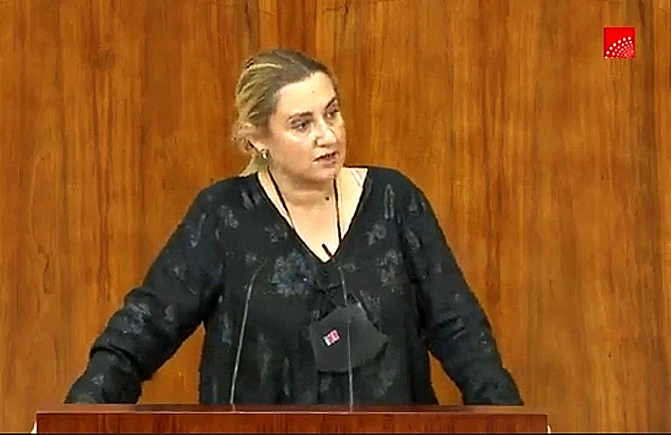 La diputada Almudena Negro en la Asamblea de Madrid.