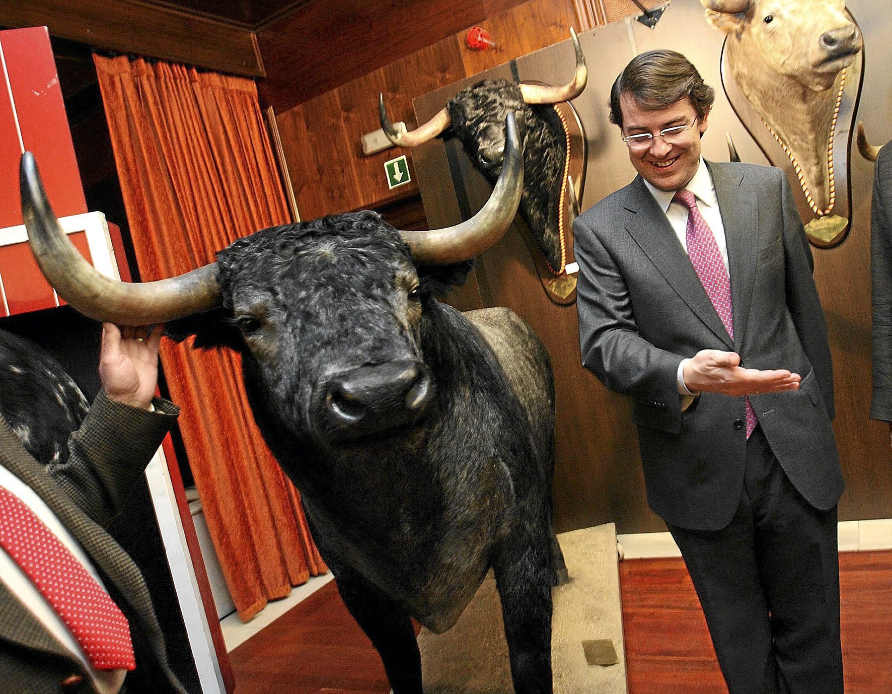 El presidente de la Junta de Castilla y Len, junto a un toro.