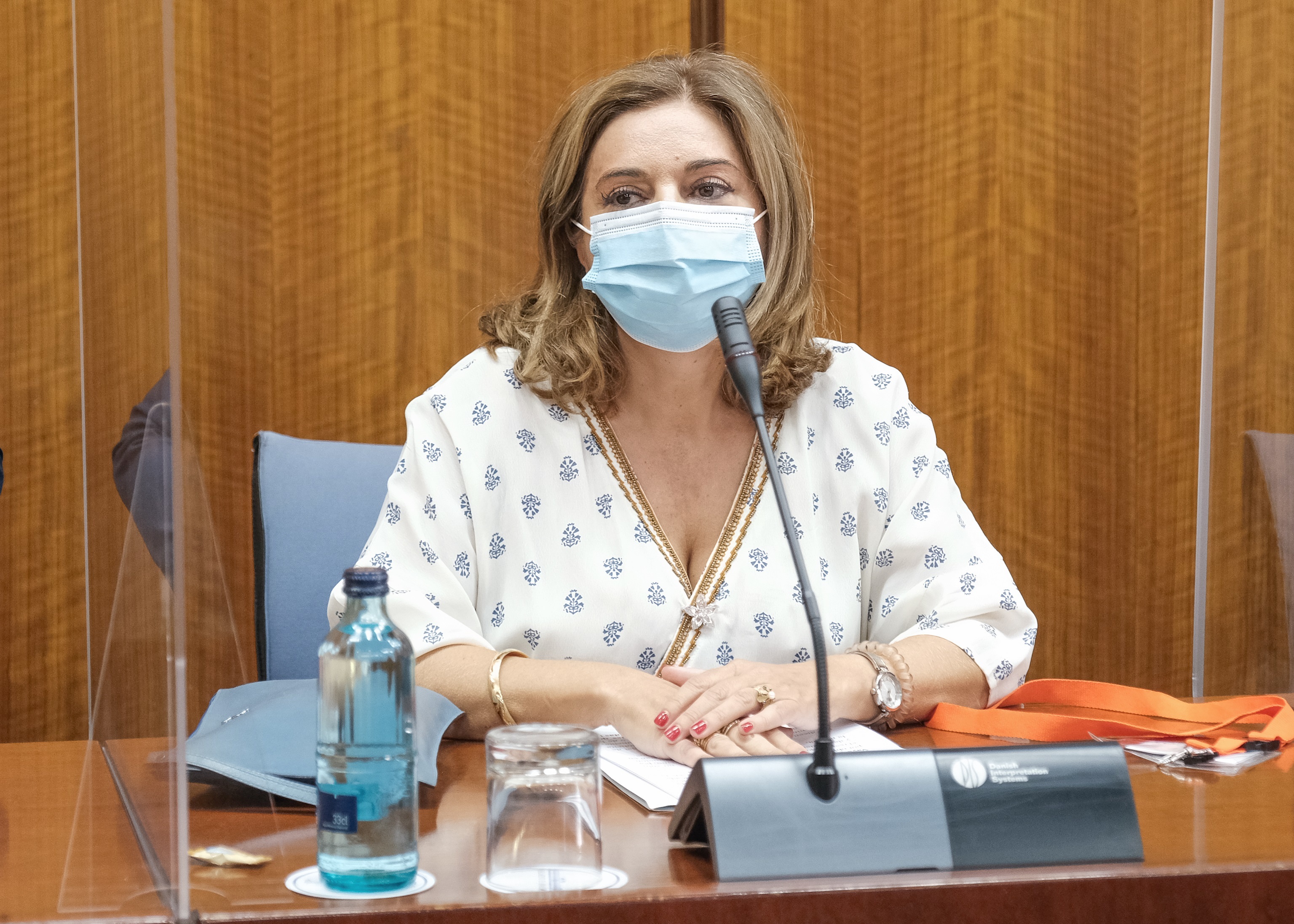 Carmen Ibanco, esposa de Juan Espadas, durante su comparecencia en la comisin parlamentaria que investiga la Faffe.