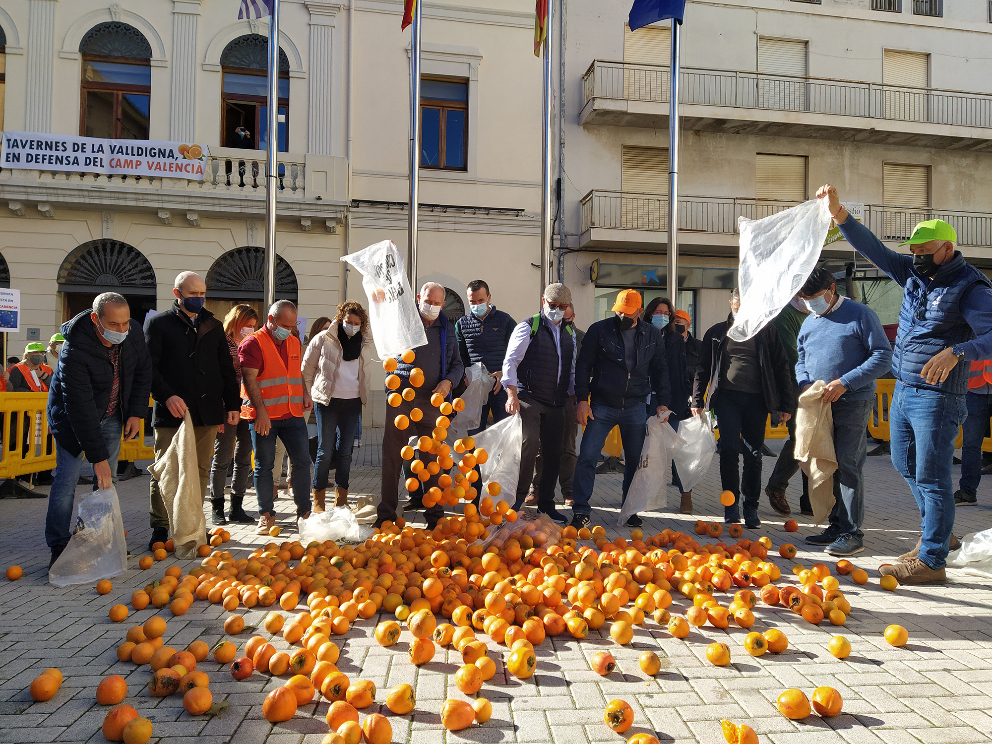 La crisis de la naranja valenciana: con el precio por los suelos y asediada por las importaciones masivas de Sudáfrica