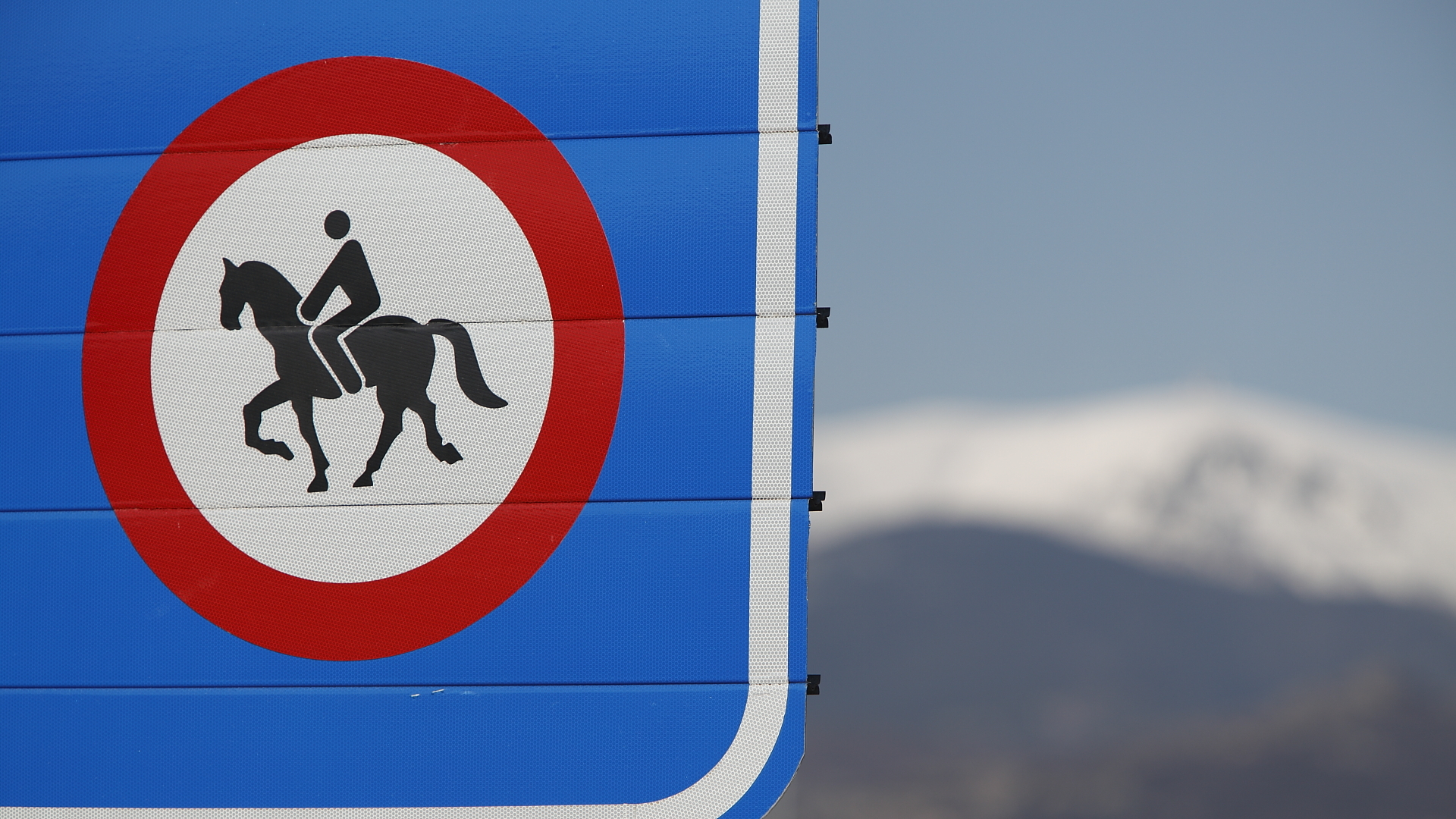 Los caballos tienen prohibido circular por autopista y autovía