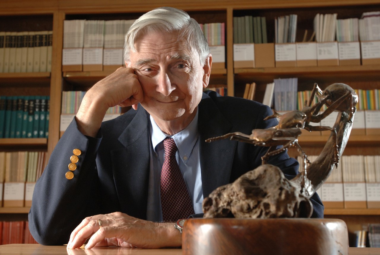 Edward O. Wilson, en su despacho de la Univesidad de Harvar en 2006