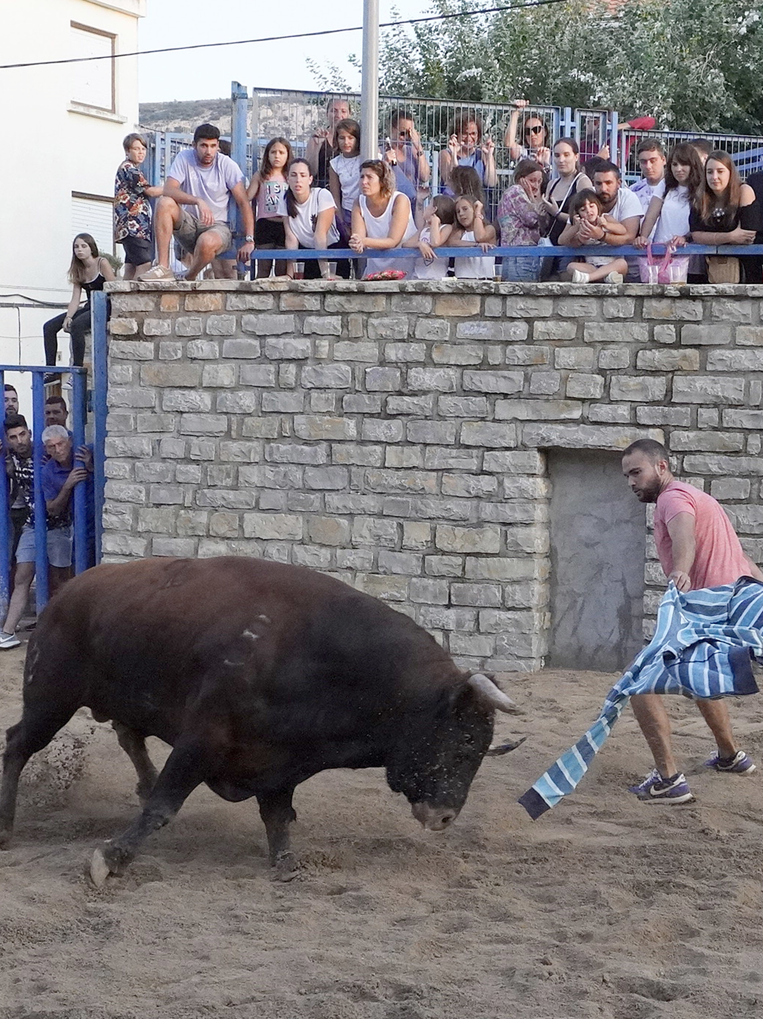 Uno de los ltimos actos de 'bou al carrer' en la provincia de Castelln.