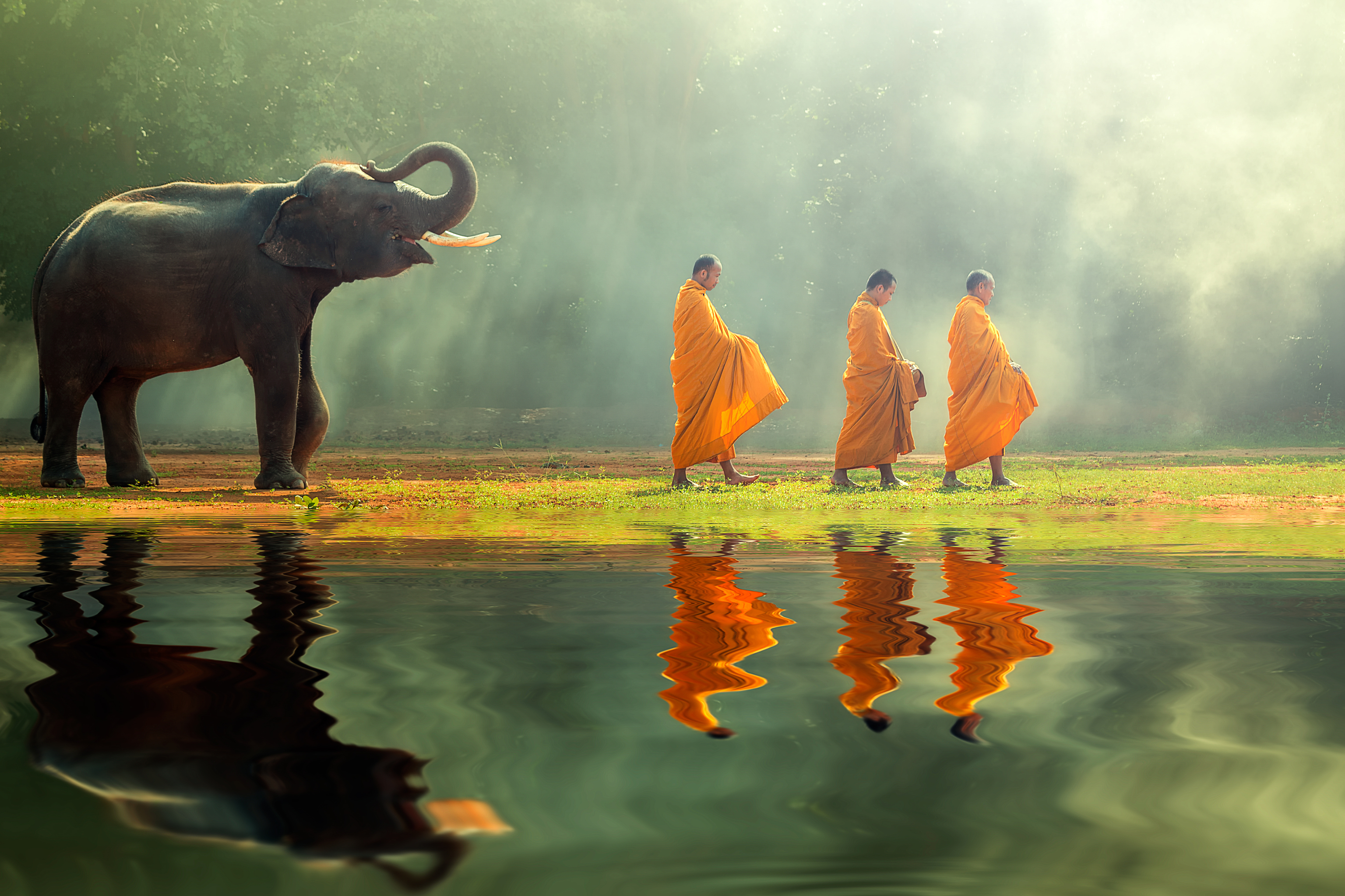 Monjes budistas en Tailandia.