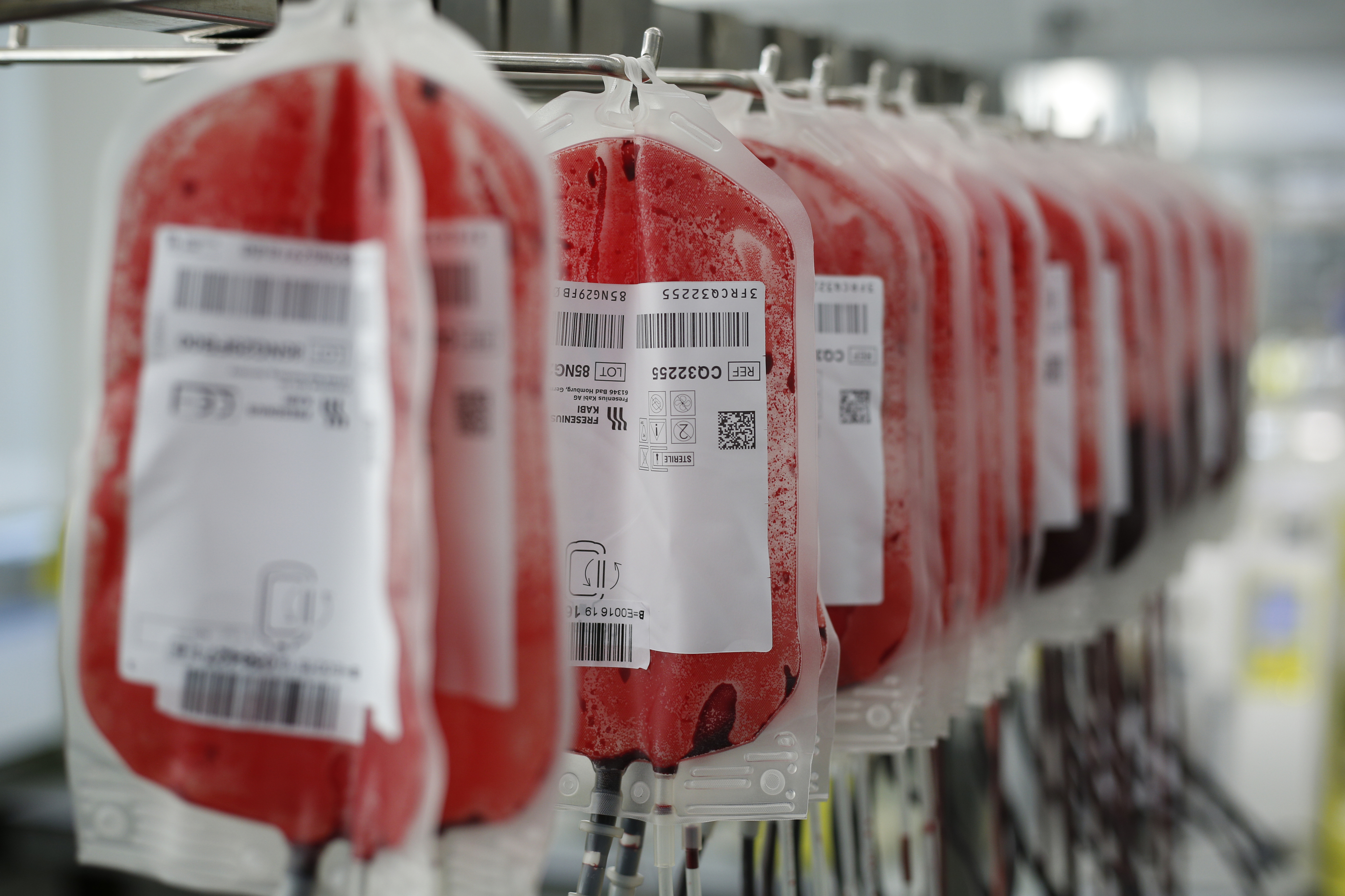 Bolsas de sangre donada en el Centro de Transfusin de la Comunidad de Madrid.