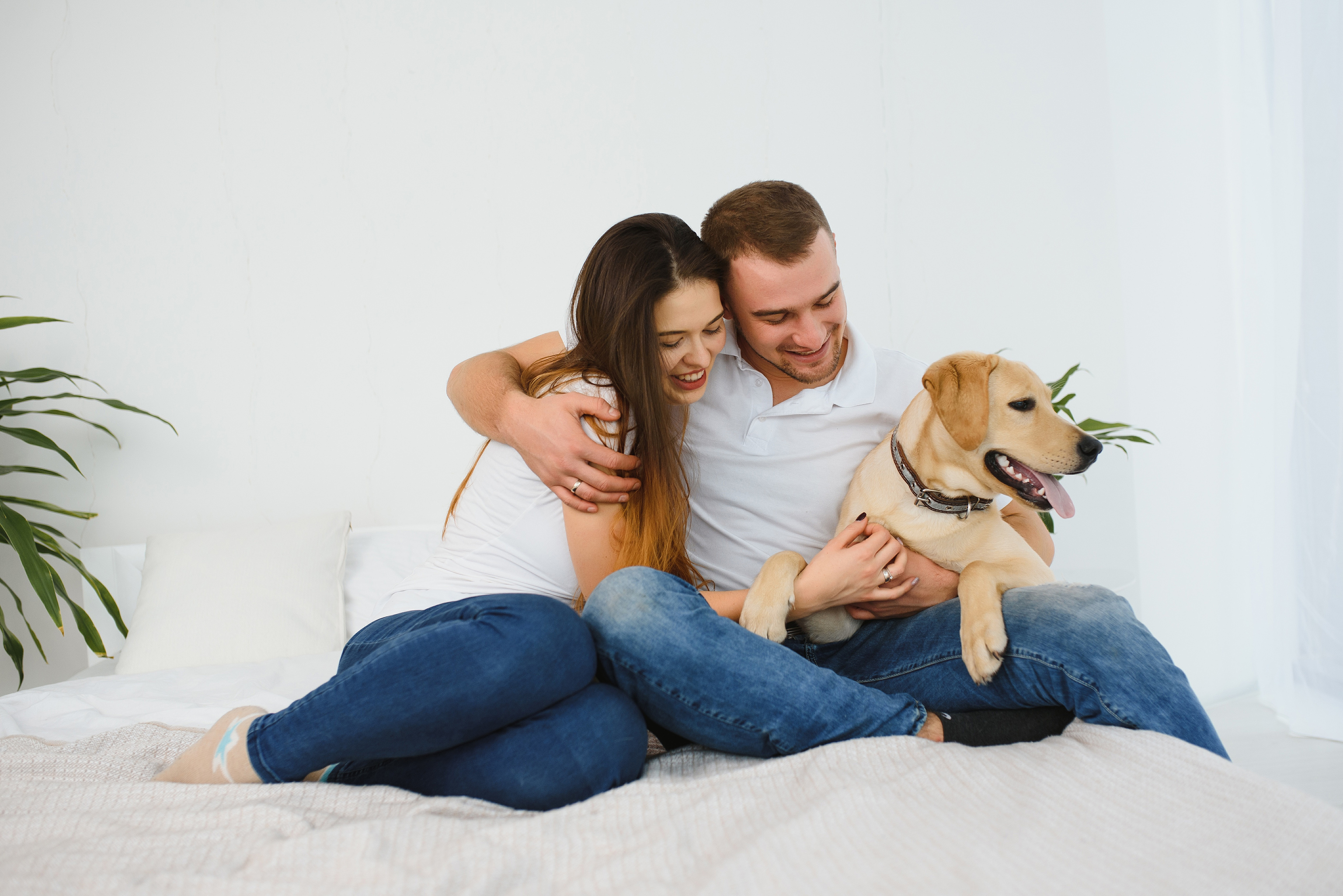 Por qué cada vez más parejas prefieren tener perros o gatos en lugar de  hijos? | Familia & co