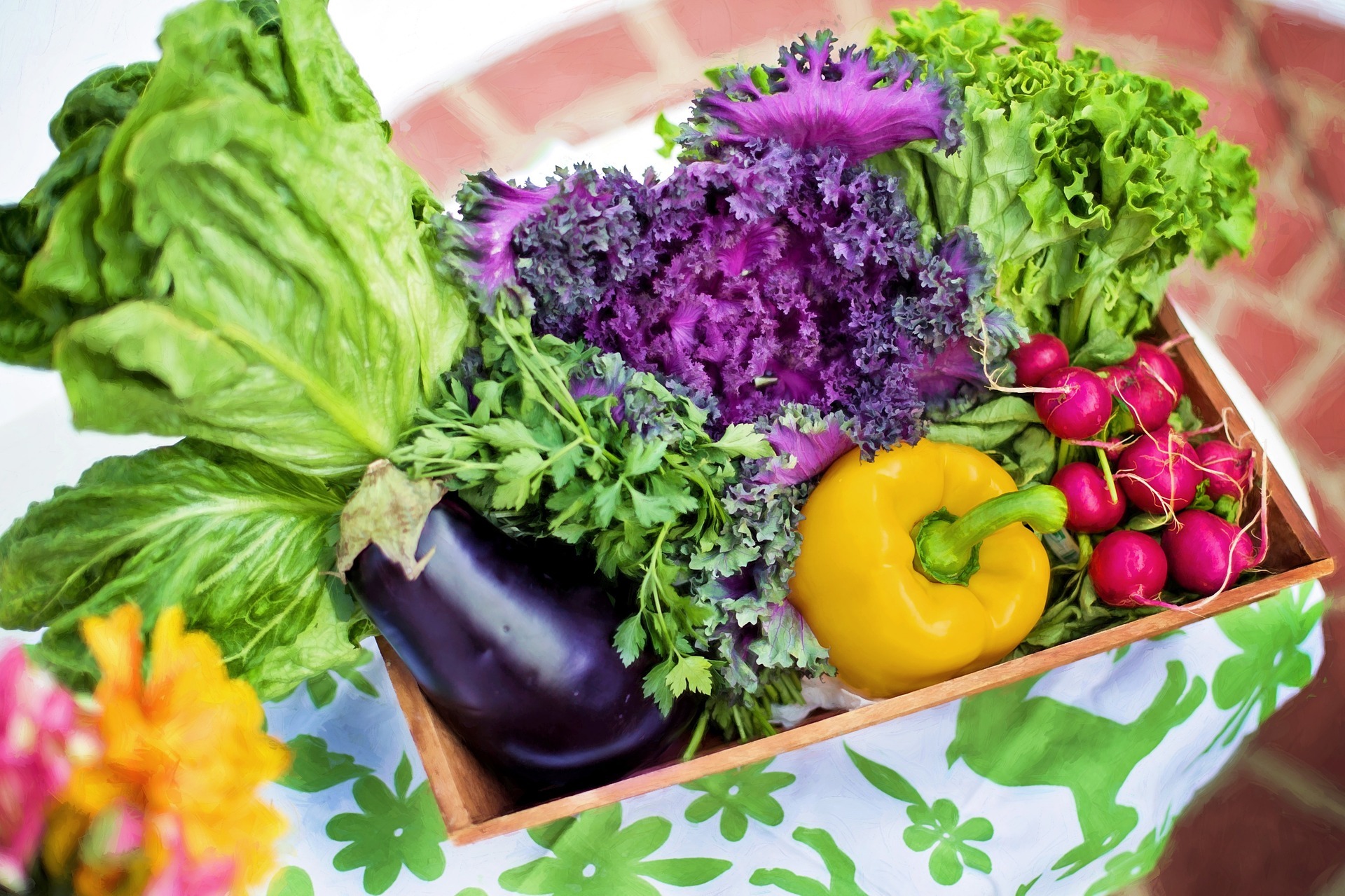 Qué diferencias hay entre verdura y hortaliza | Cómo