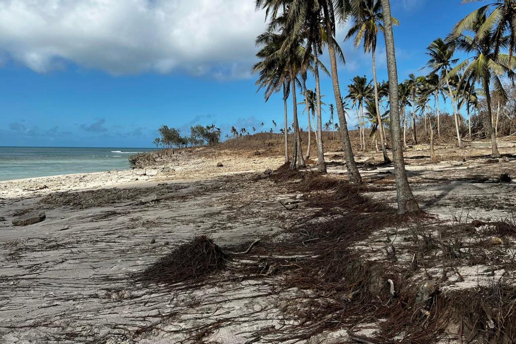 Destruccin en las playas de Tongatapu, en la isla principal.