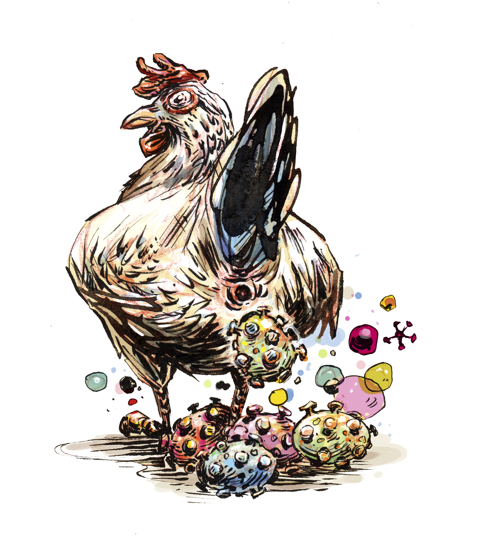 Gripe aviar: ¿la próxima pandemia?