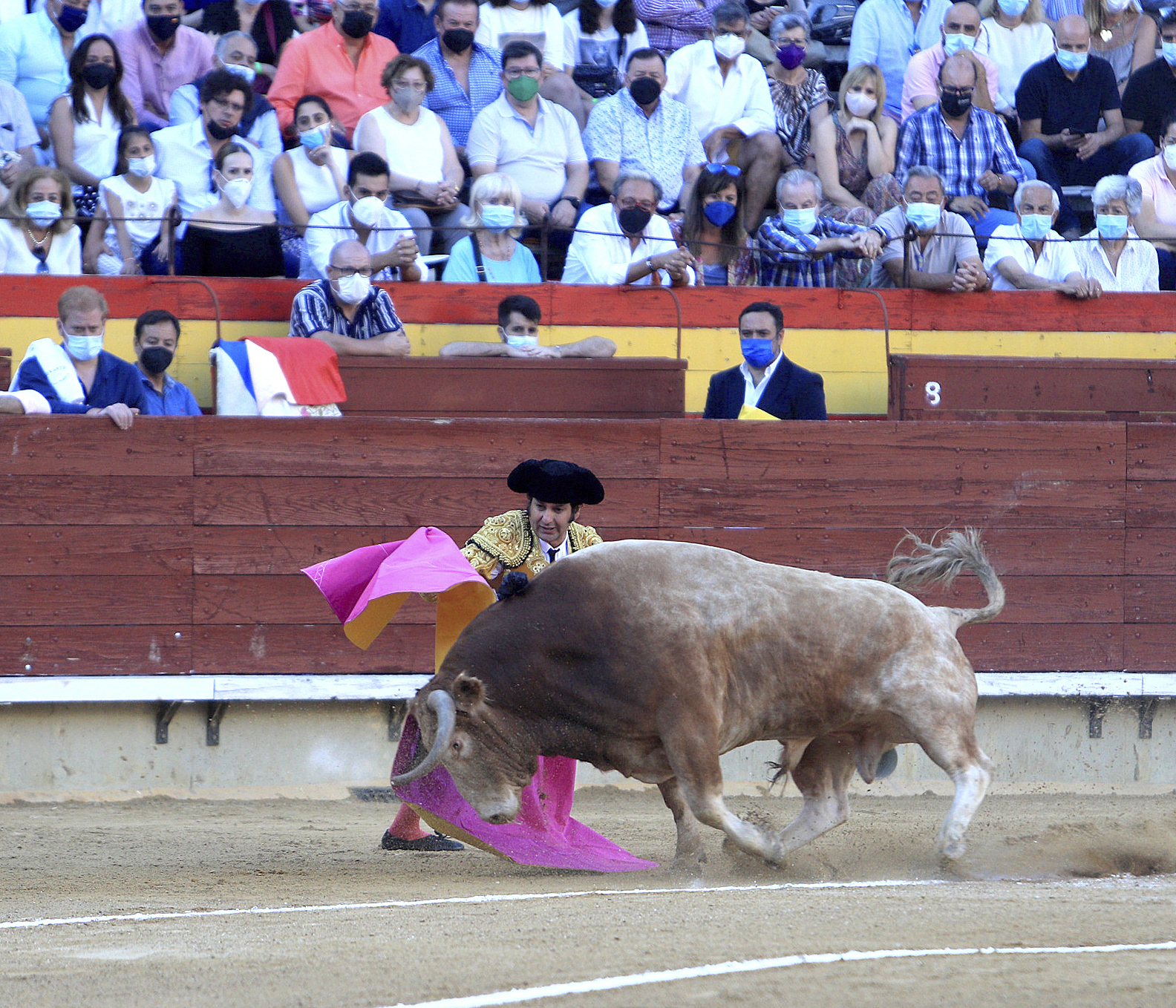 Morante de la Puebla, una de las grandes figuras del toreo para la feria taurina programada en Magdalena.