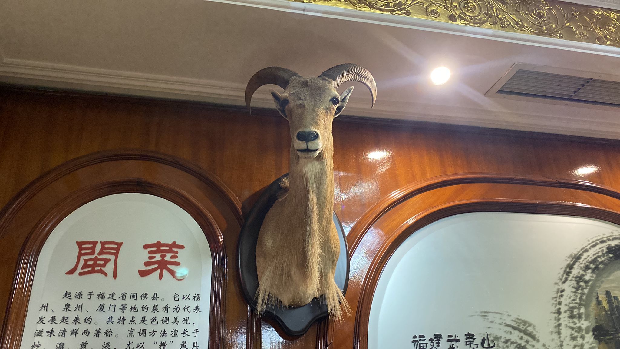 Uno de los animales disecados hallado en el restaurante chino