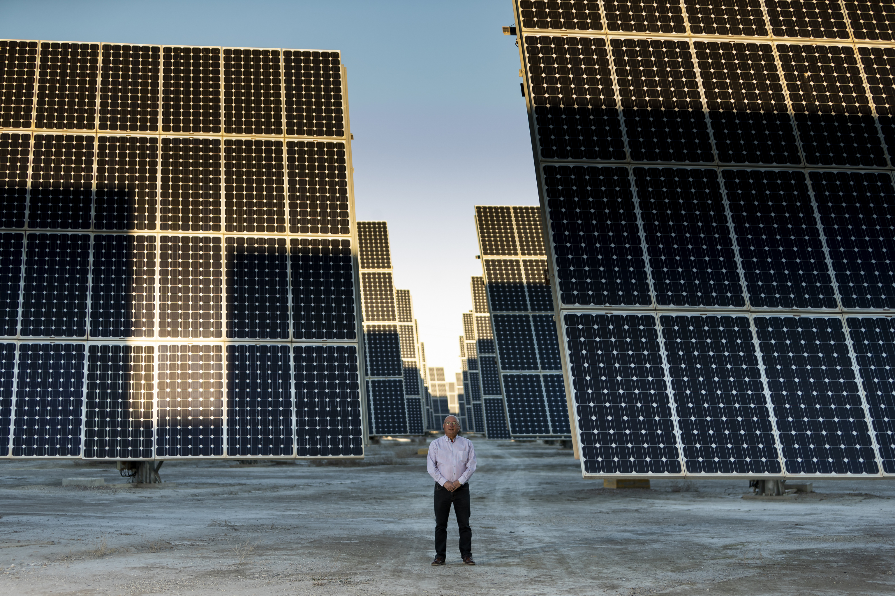 Francisco Fernndez Lidn, en el parque fotovoltaico de su cooperativa, en Lorca.