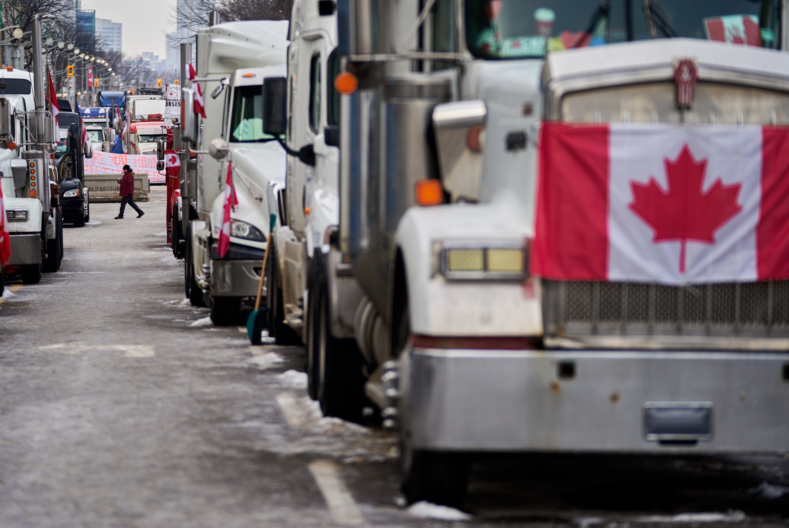 Un ciudadano camina entre los camionesque paralizan Ottawa.