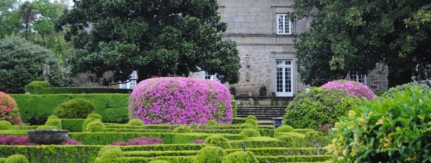 antiguo Cada semana zorro Ruta por los jardines más bonitos de Galicia, donde la camelia es la reina  | Planes