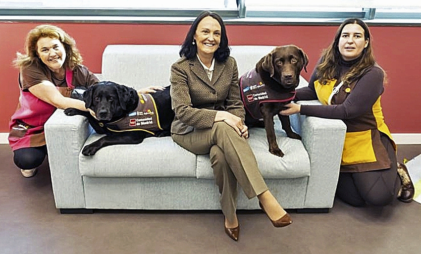 Yolanda Ibarrola, viceconsejera de Justicia, con las empleadas de Dogtor Animal y las dos perras.