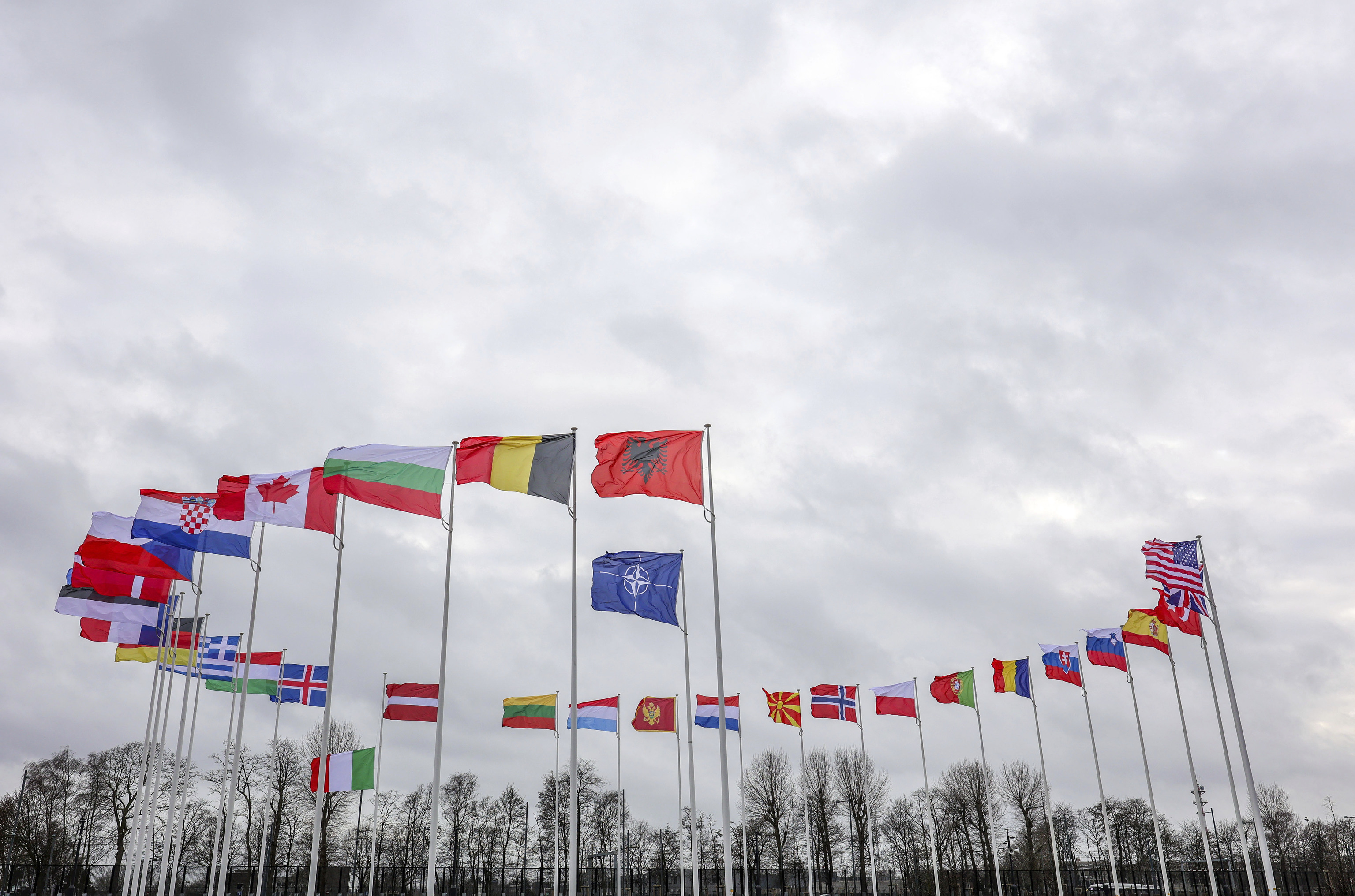 Banderas de la OTAN en Bruselas