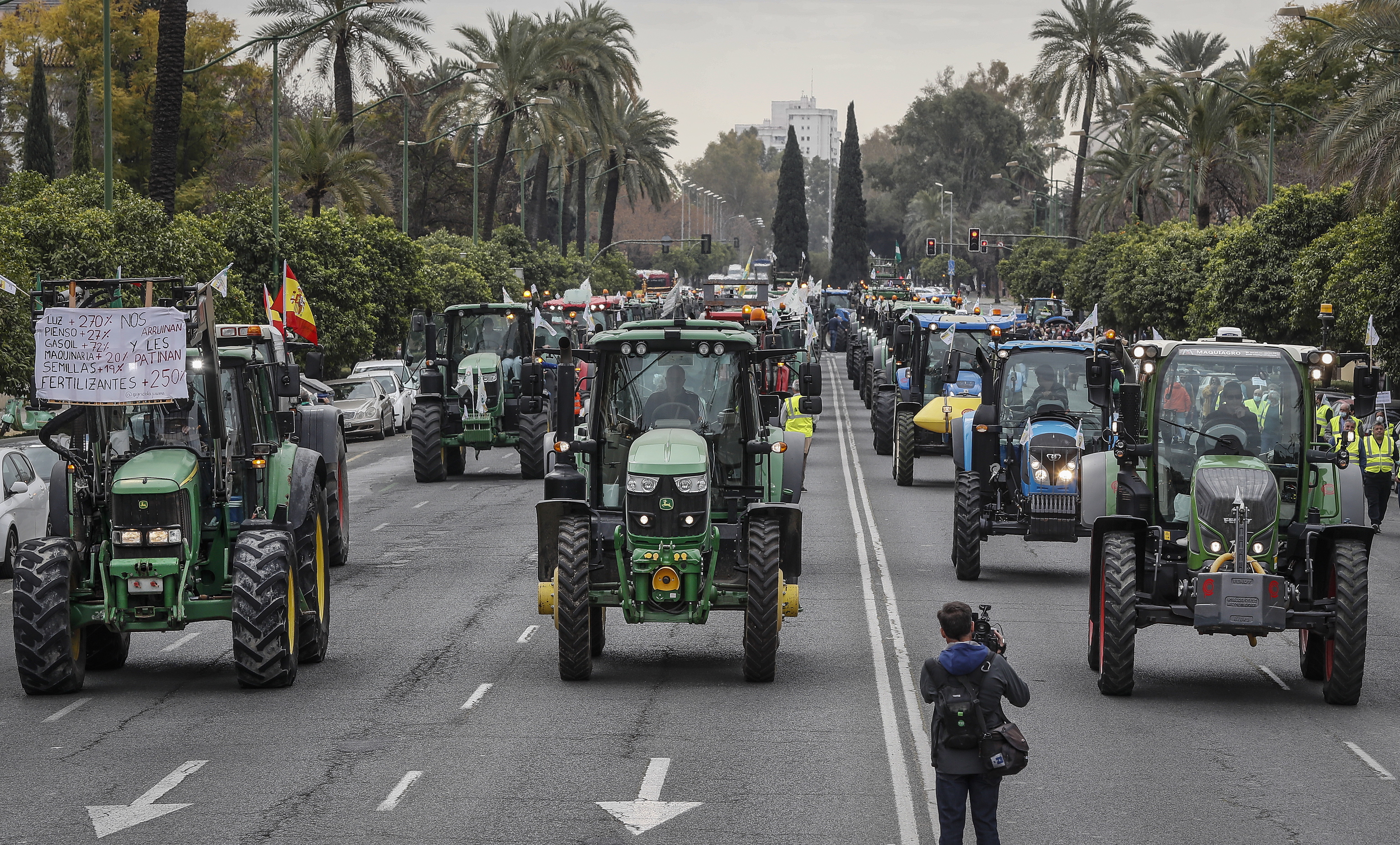 Un cmara de televisin toma imgenes de los tractores a su paso por la avenida de La Palmera de Sevilla durante la manifestacin de los agricultores.