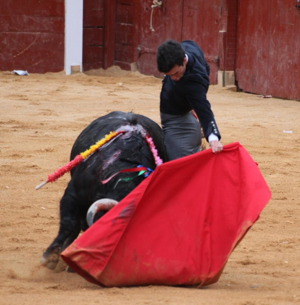 Toms Rufo triunfa y deja su sello en el Carnaval del Toro en Ciudad Rodrigo