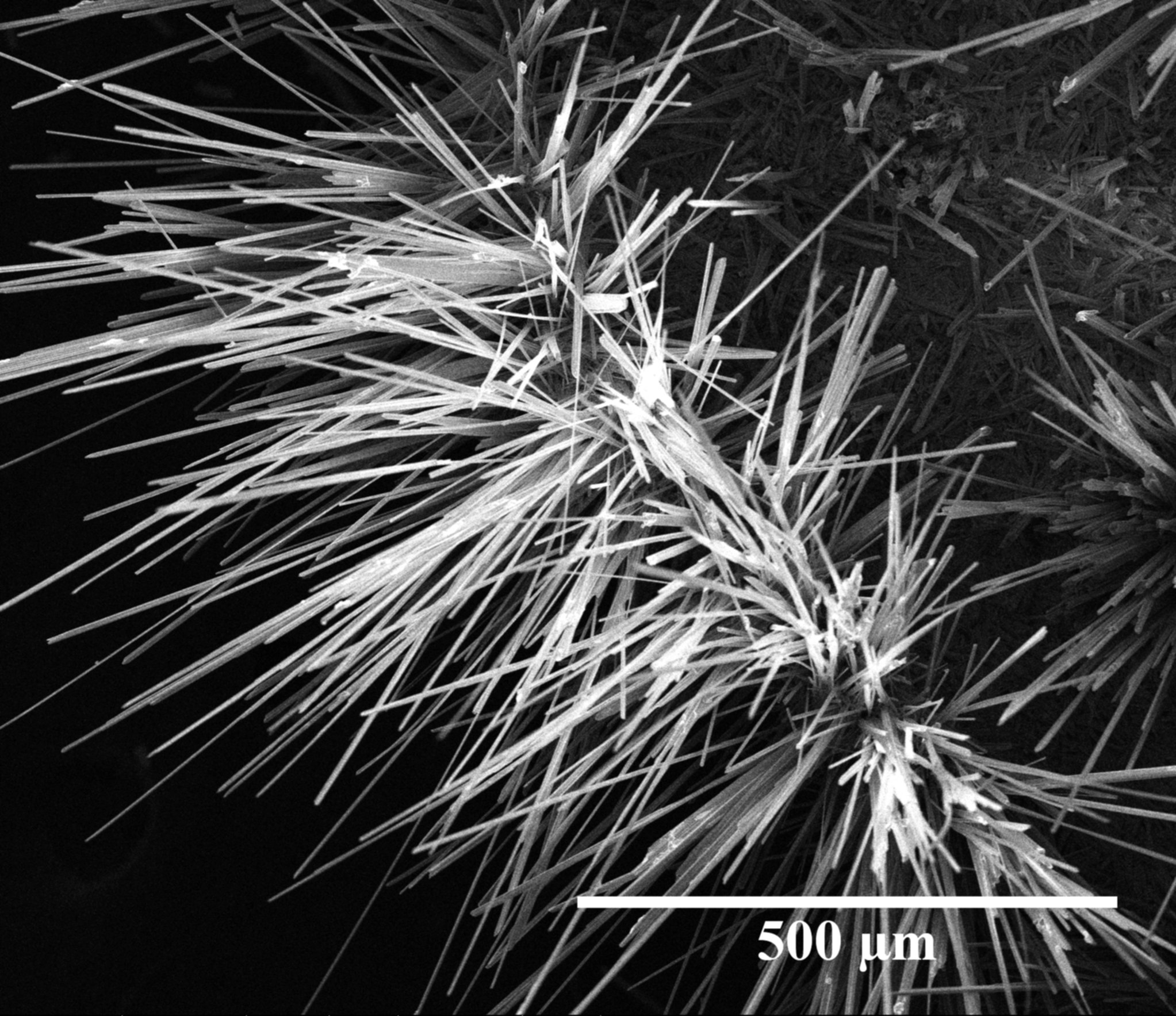 Imagen de microscopio de las mismas microbarras de óxido de niobio.