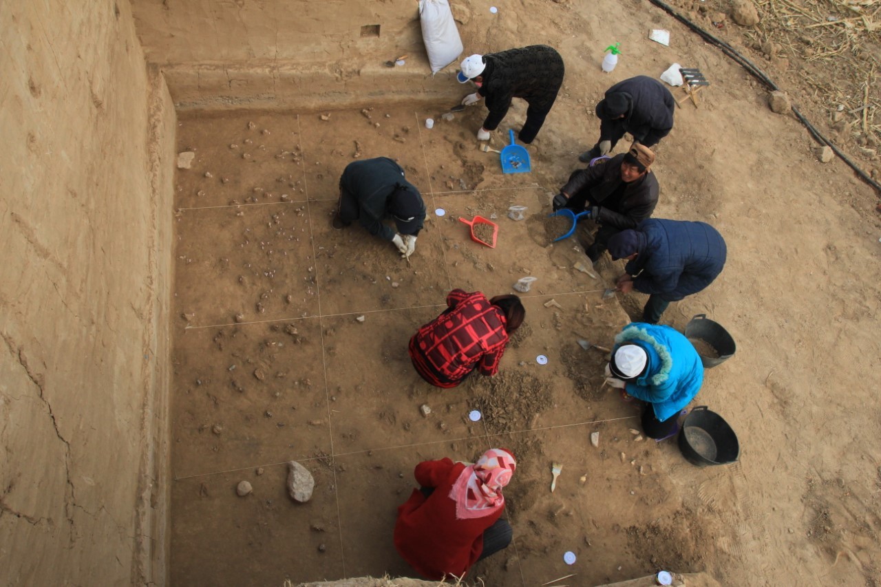 Los arquelogos durante la excavacin en Xiamabei, en el norte de China