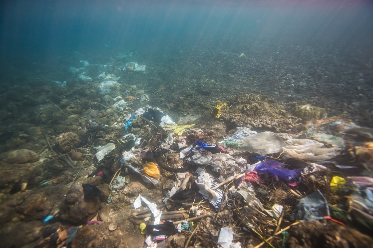 Plástica y otras basuras en el mar