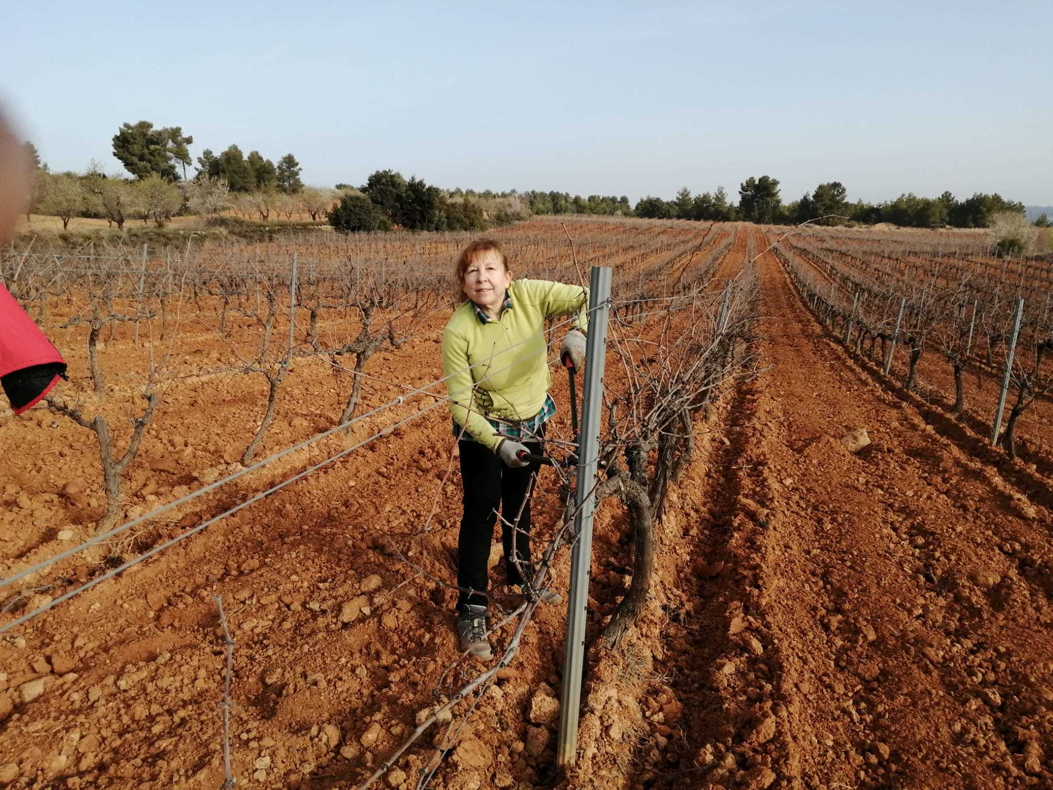Agricultora profesional en la Comunidad Valenciana.