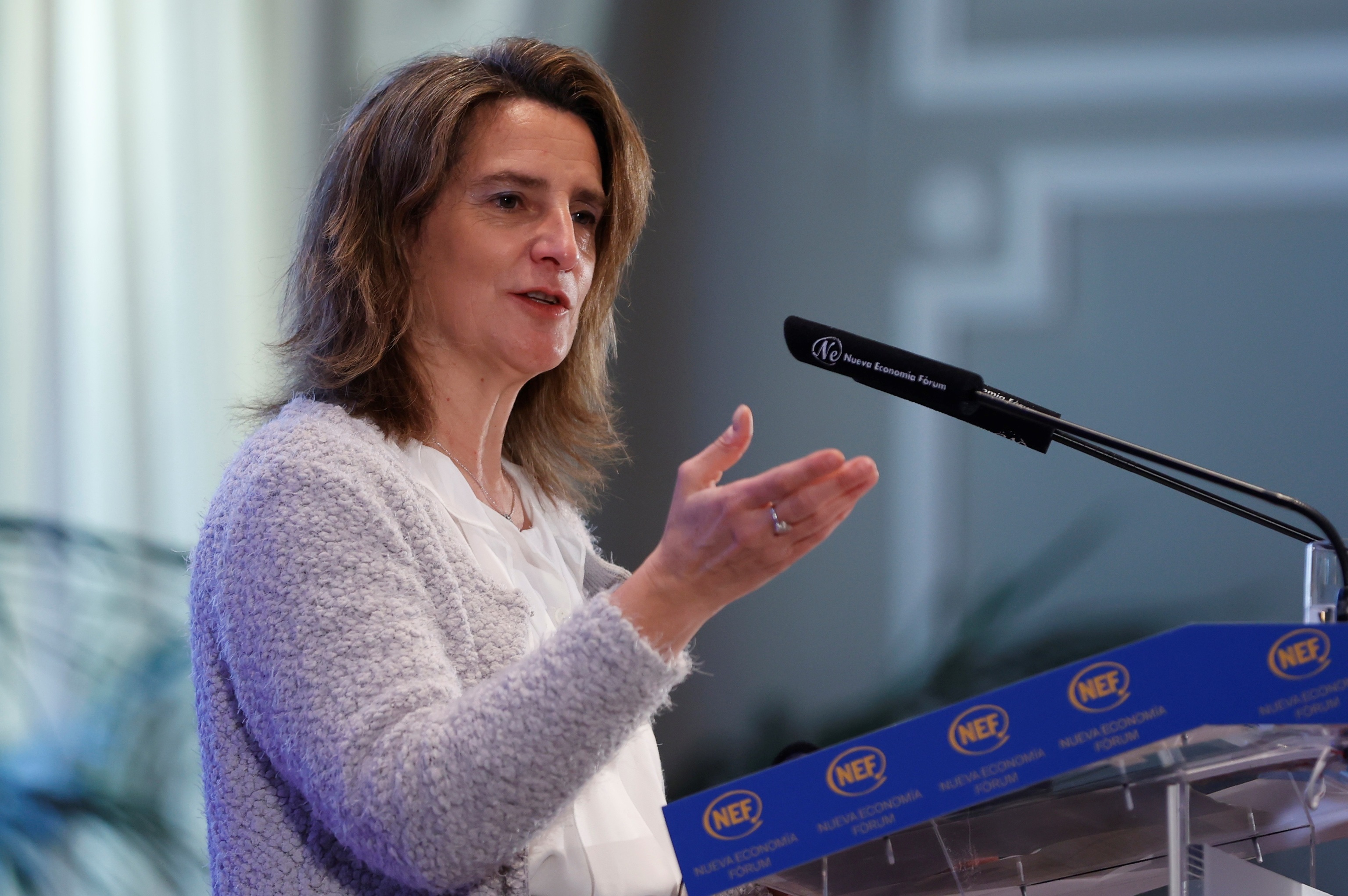 La vicepresidenta de Transición Ecológica, Teresa Ribera, en un acto reciente en Madrid.
