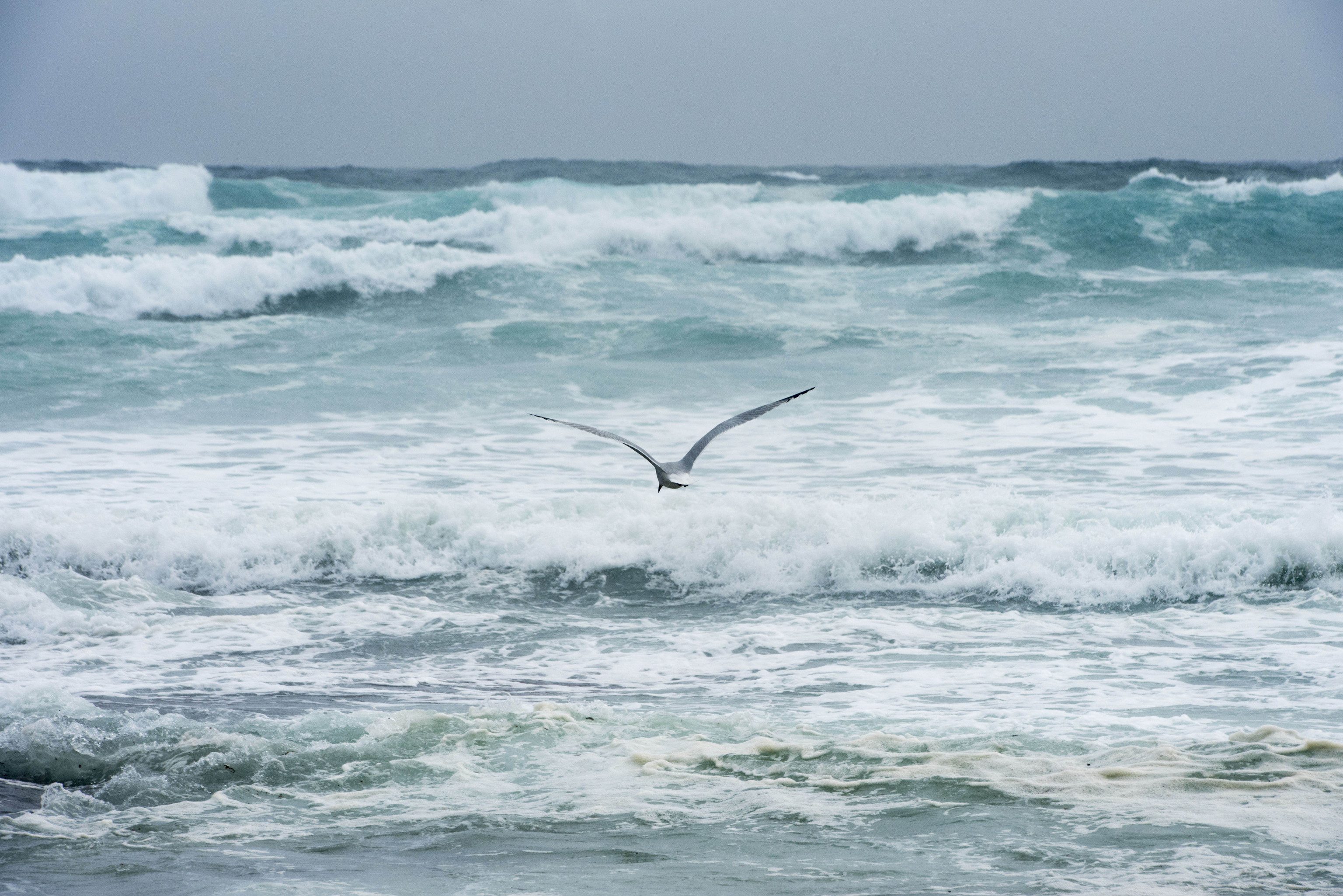 Grandes olas formadas en Punta Prima (Menorca).