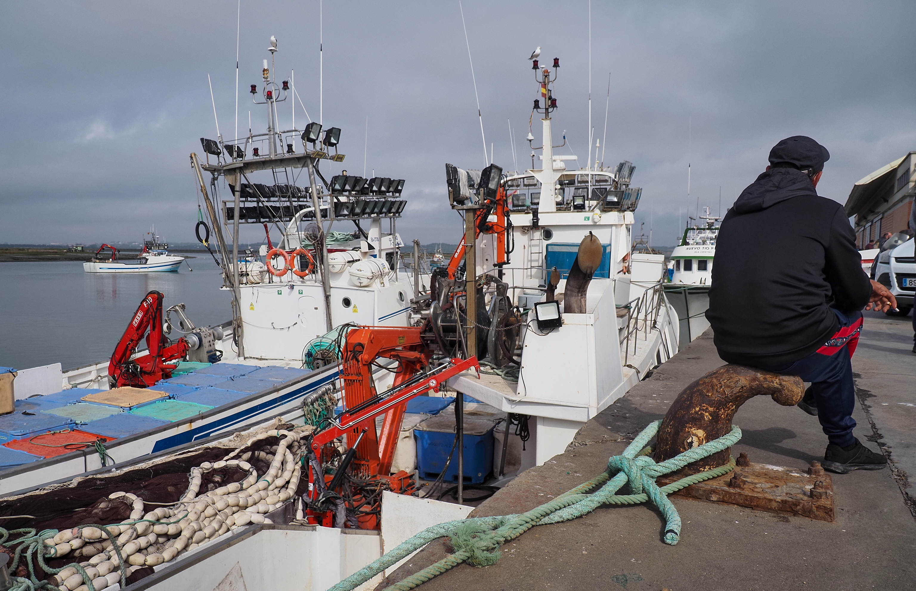 Parte de la flota pesquera del puerto de Isla Cristina (Huelva).