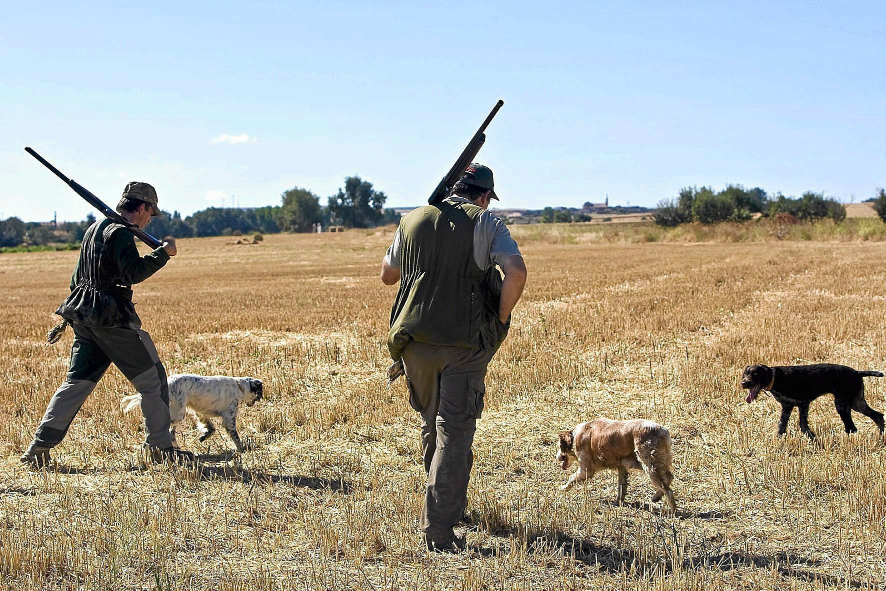 pensión Estallar Determinar con precisión La futura Ley de Bienestar Animal equipara a los perros de caza, pastoreo y  ganadería con los animales domésticos | Medio Ambiente