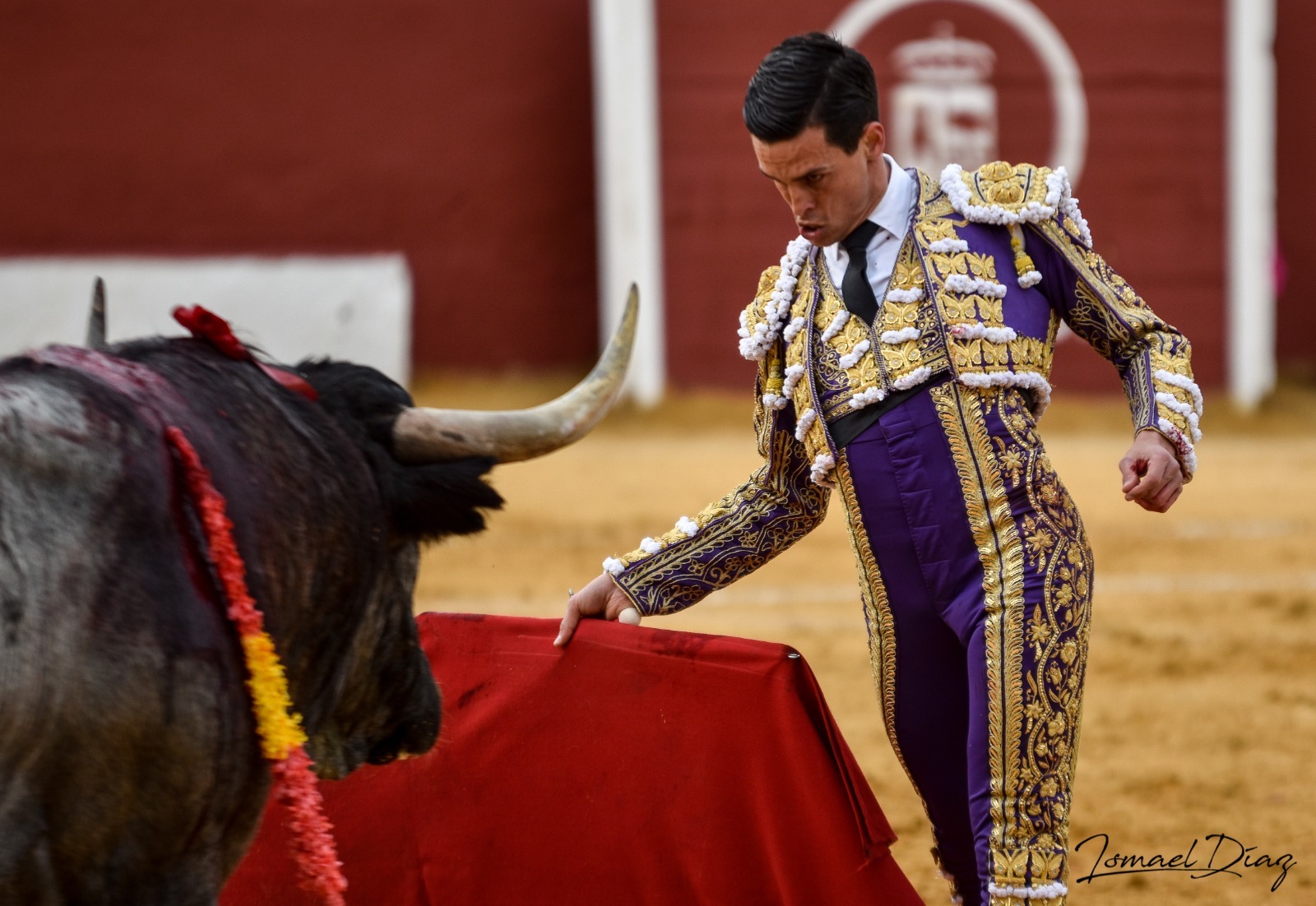 Los toros vuelven a Zaragoza dos aos despus con su Feria de San Jorge